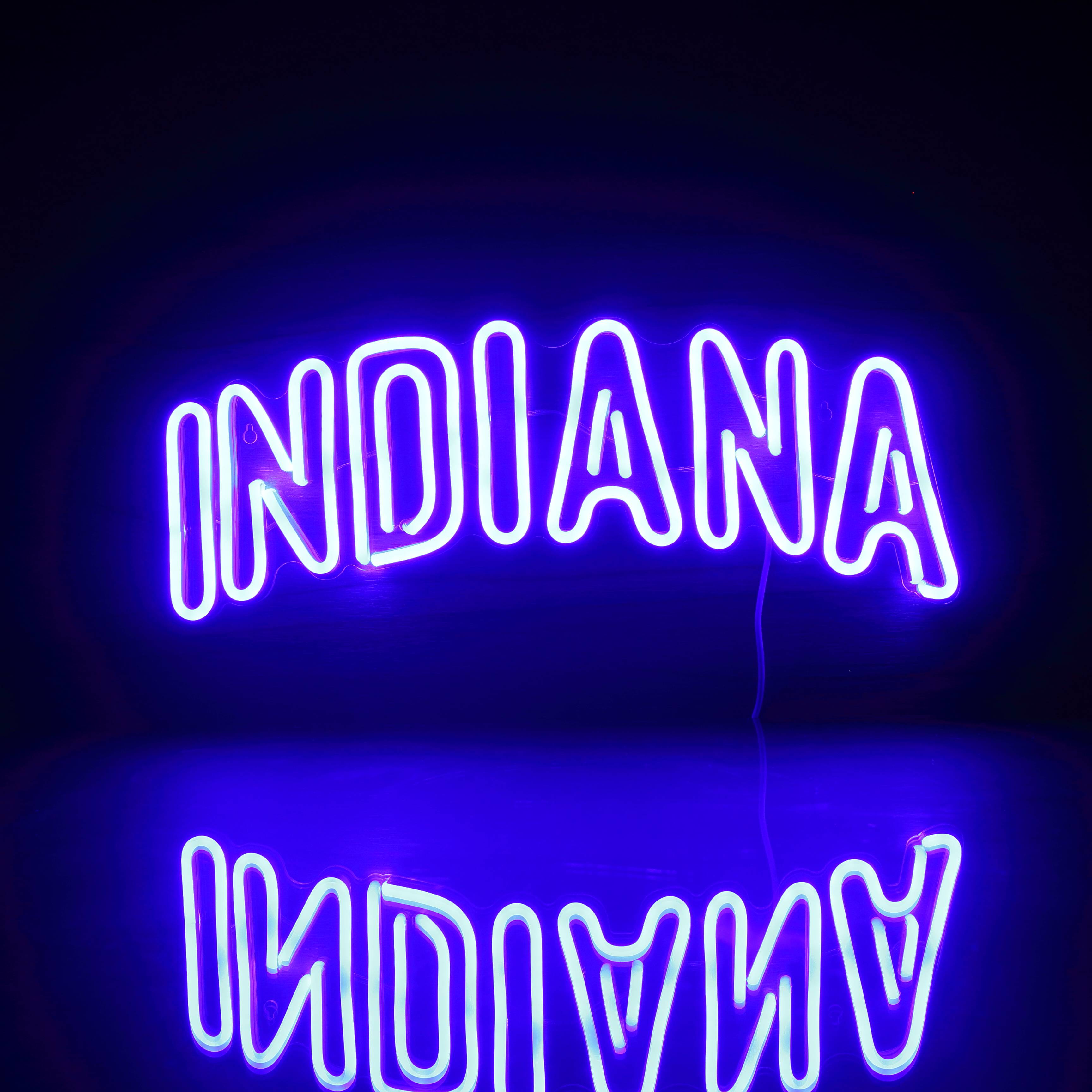 Indiana Pacers Bar Neon Flex LED Sign