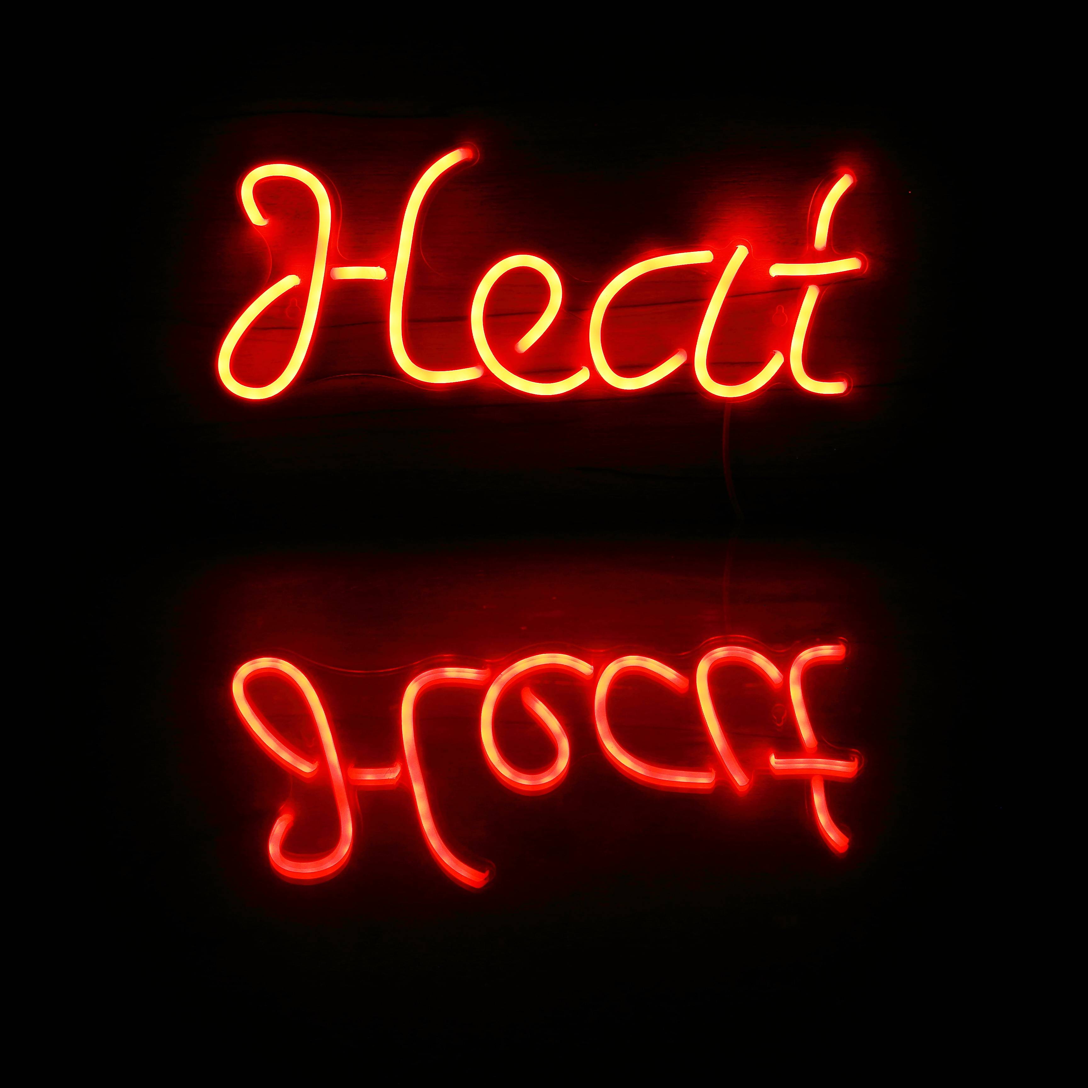 NBA Miami Heat Bar Neon Flex LED Sign