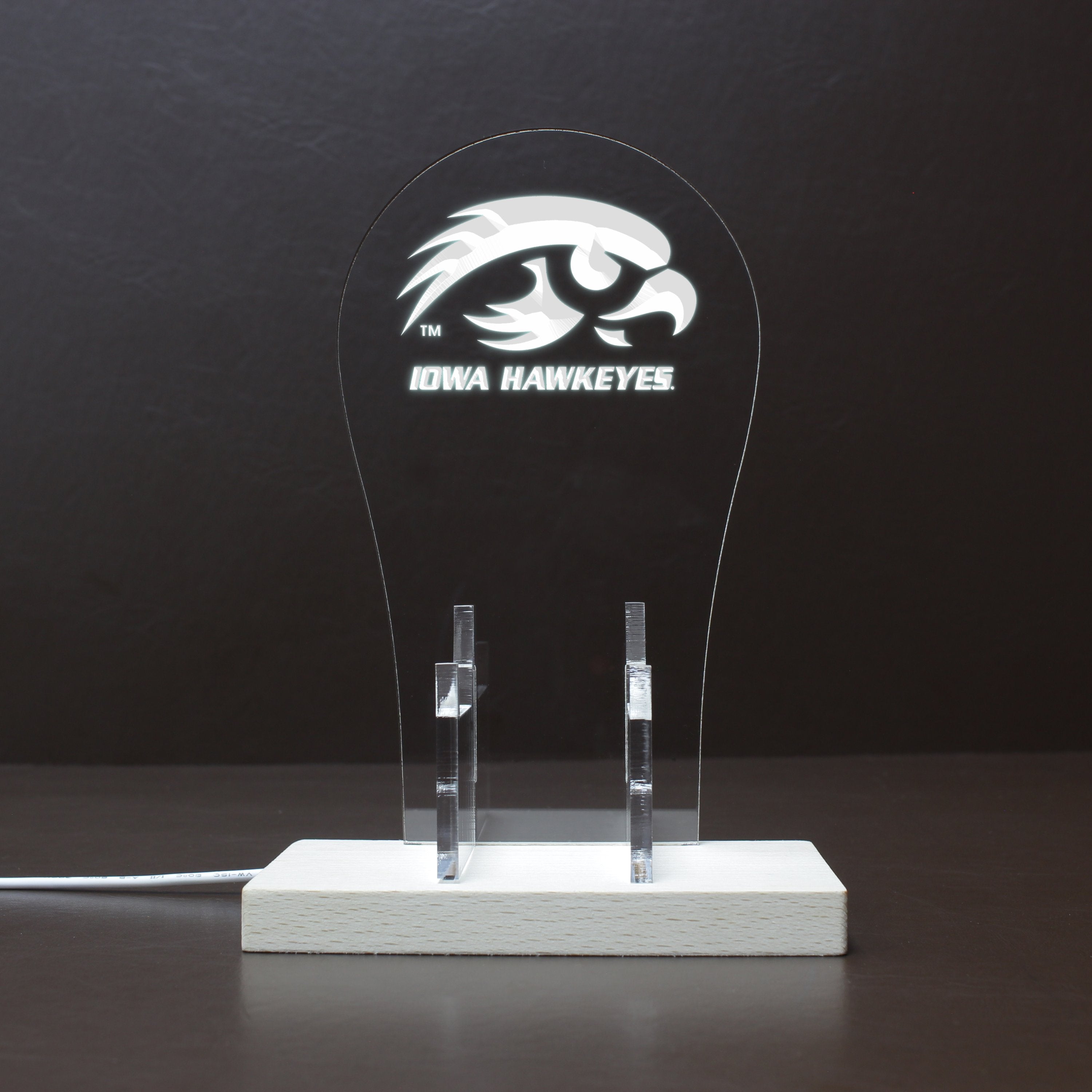 Iowa Hawkeyes Football LED Gaming Headset Controller Stand