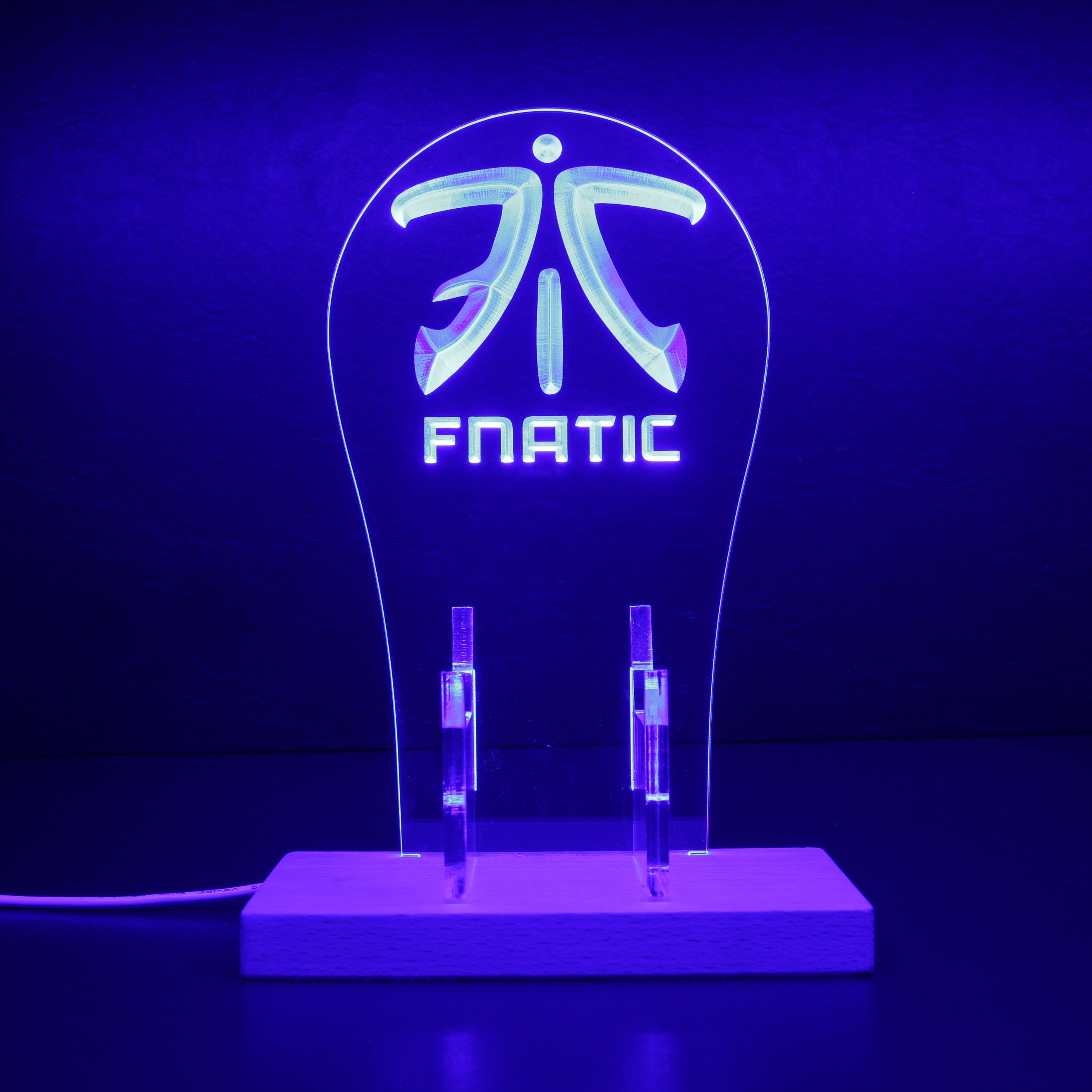 Team Fnatic LED Gaming Headset Controller Stand Accessories