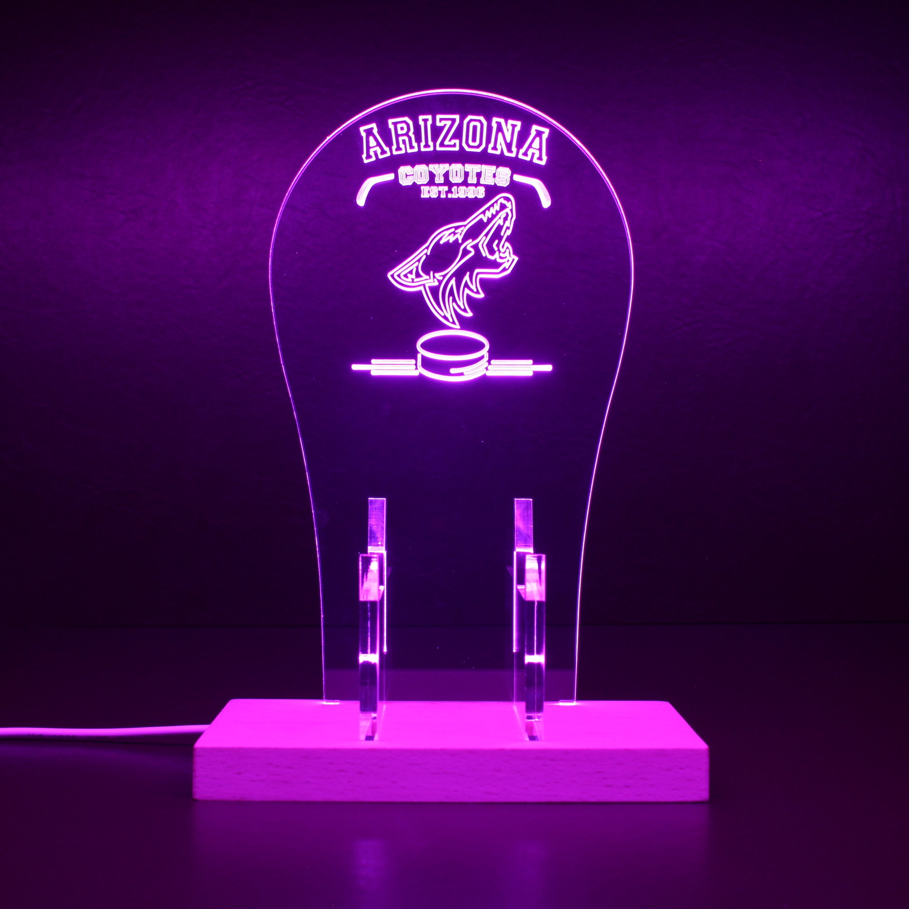 Custom Your Sport Team Arizona Coyotes Est. 1996 RGB LED Gaming Headset Controller Stand