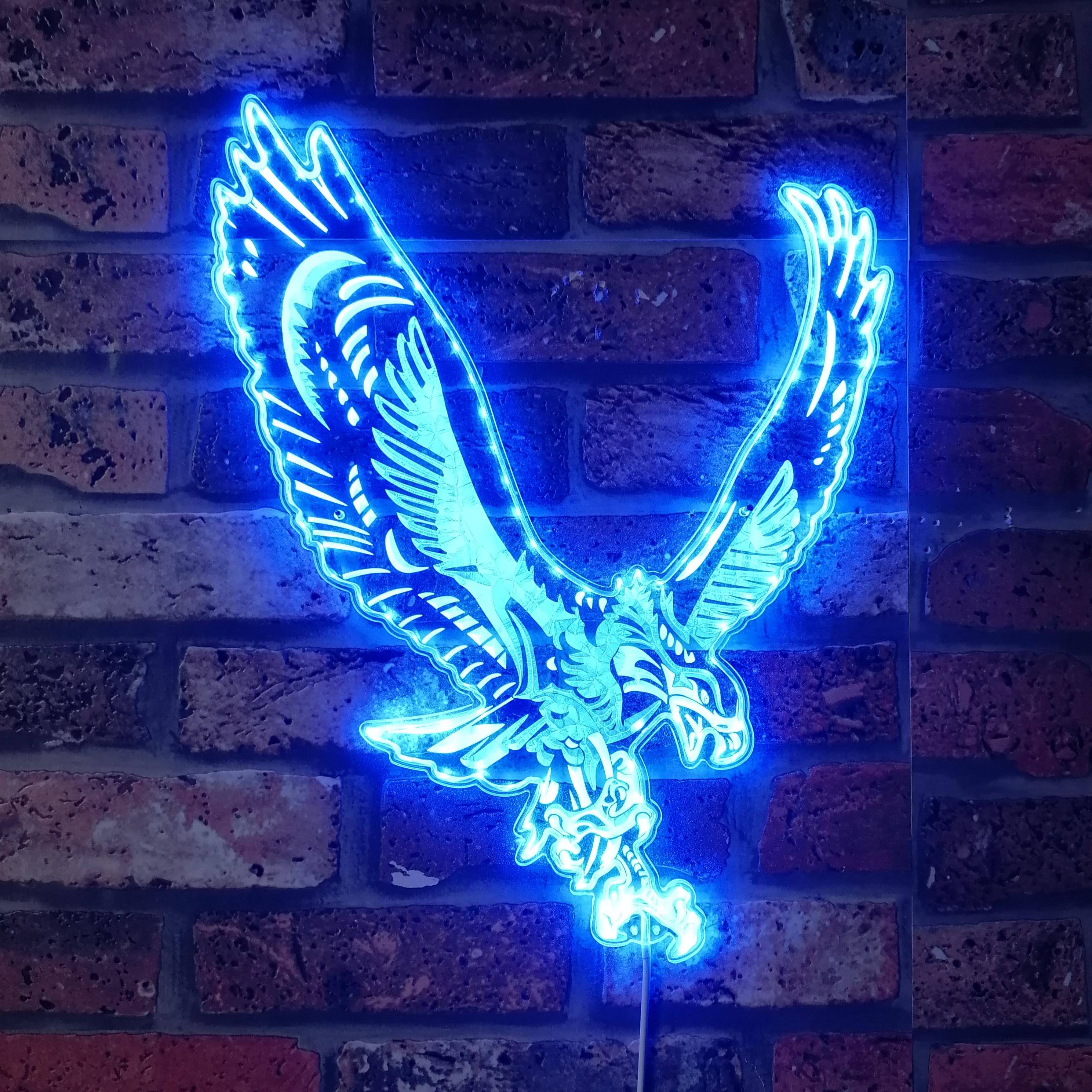 Philadelphia Eagles Dynamic RGB Edge Lit LED Sign