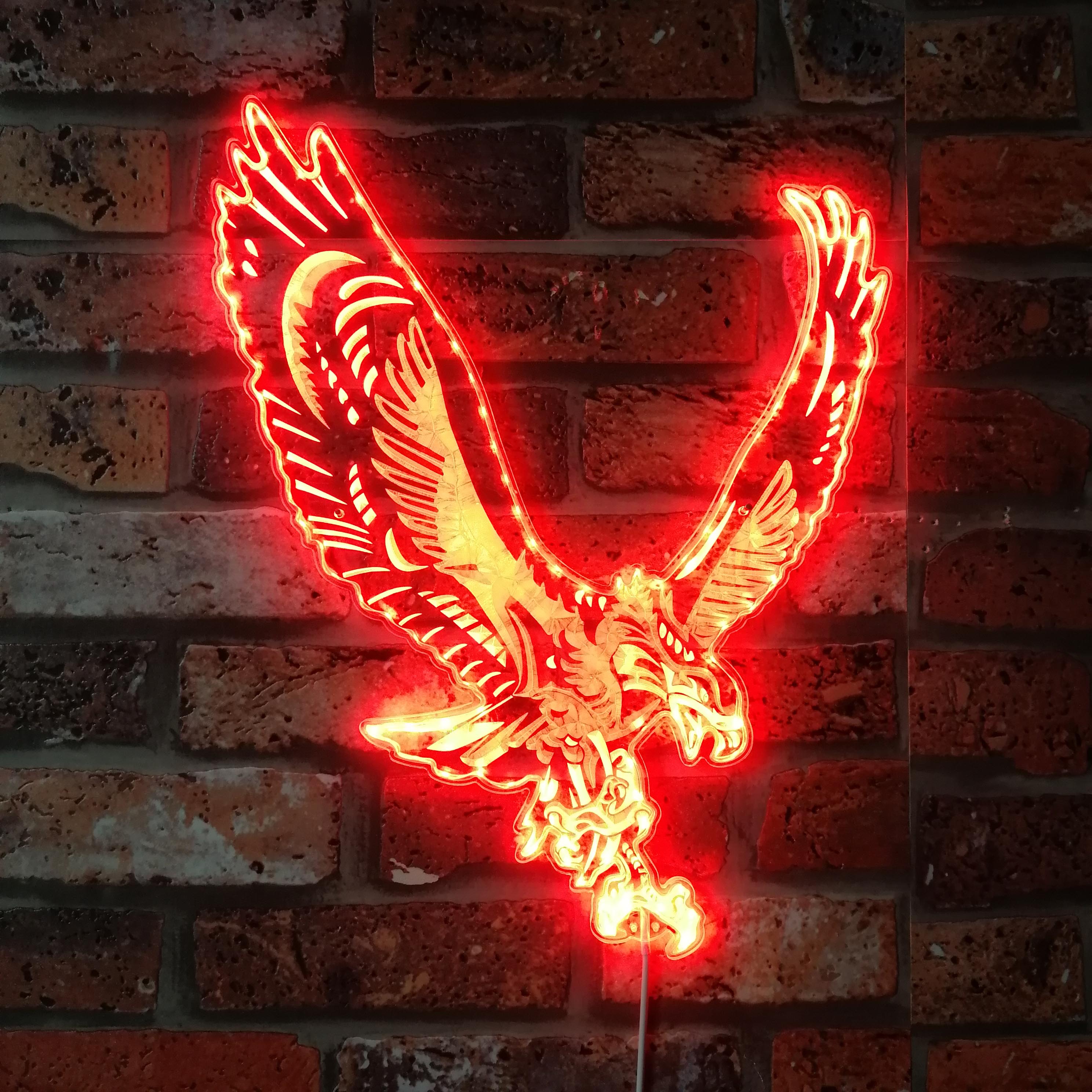 Philadelphia Eagles Dynamic RGB Edge Lit LED Sign