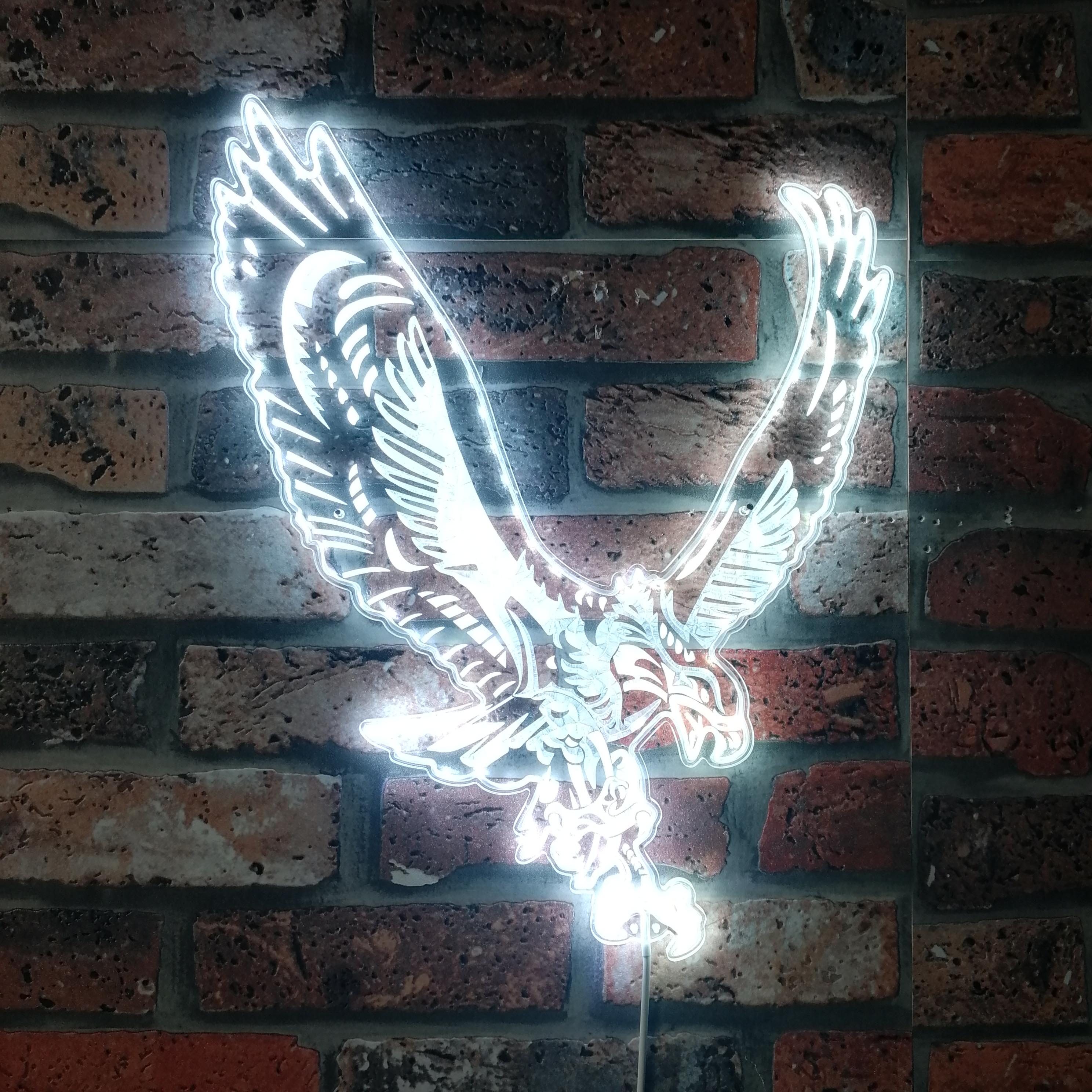 Philadelphia Eagles Dynamic RGB Edge Lit LED Sign