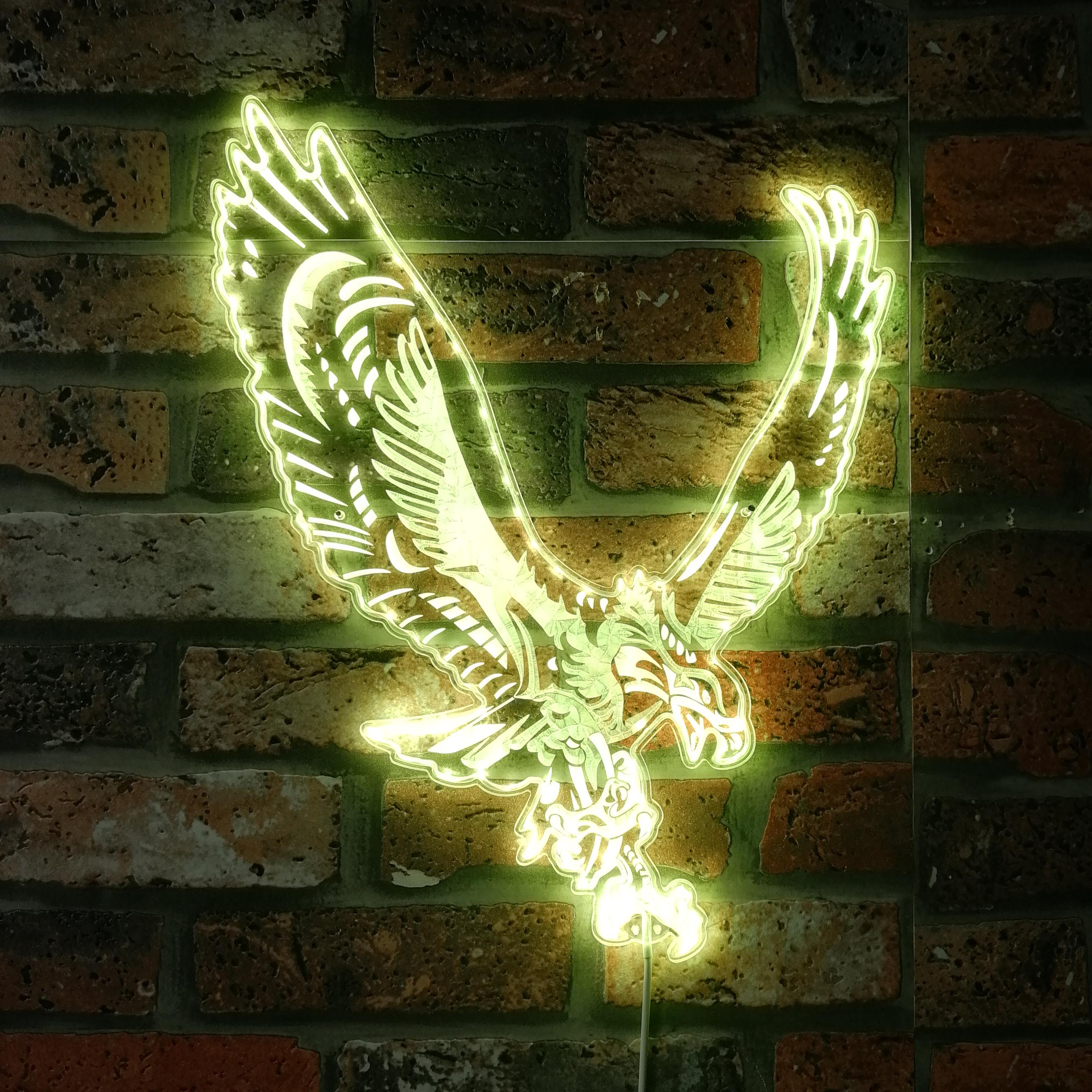 Philadelphia Eagles Dynamic RGB Edge Lit LED Sign