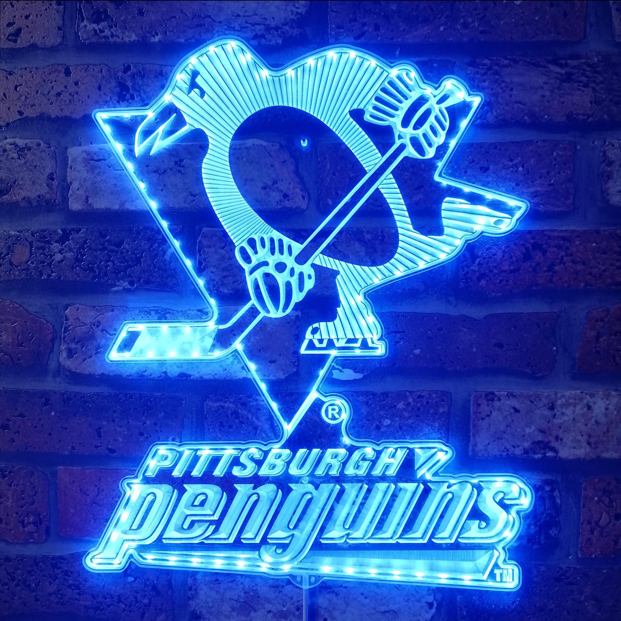 Pittsburgh Steelers Dynamic RGB Edge Lit LED Sign