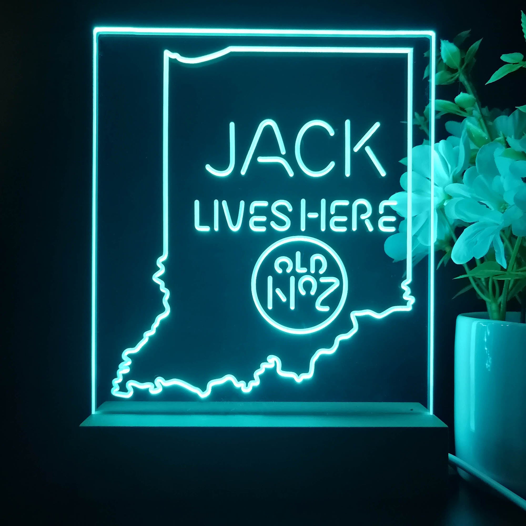 Indiana Jack Lives Here Night Light Neon Pub Bar Lamp