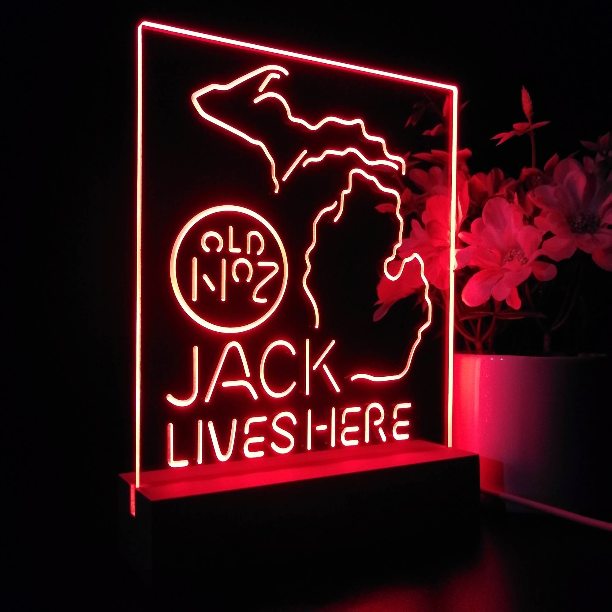 Michigan Jack Lives Here Night Light Neon Pub Bar Lamp