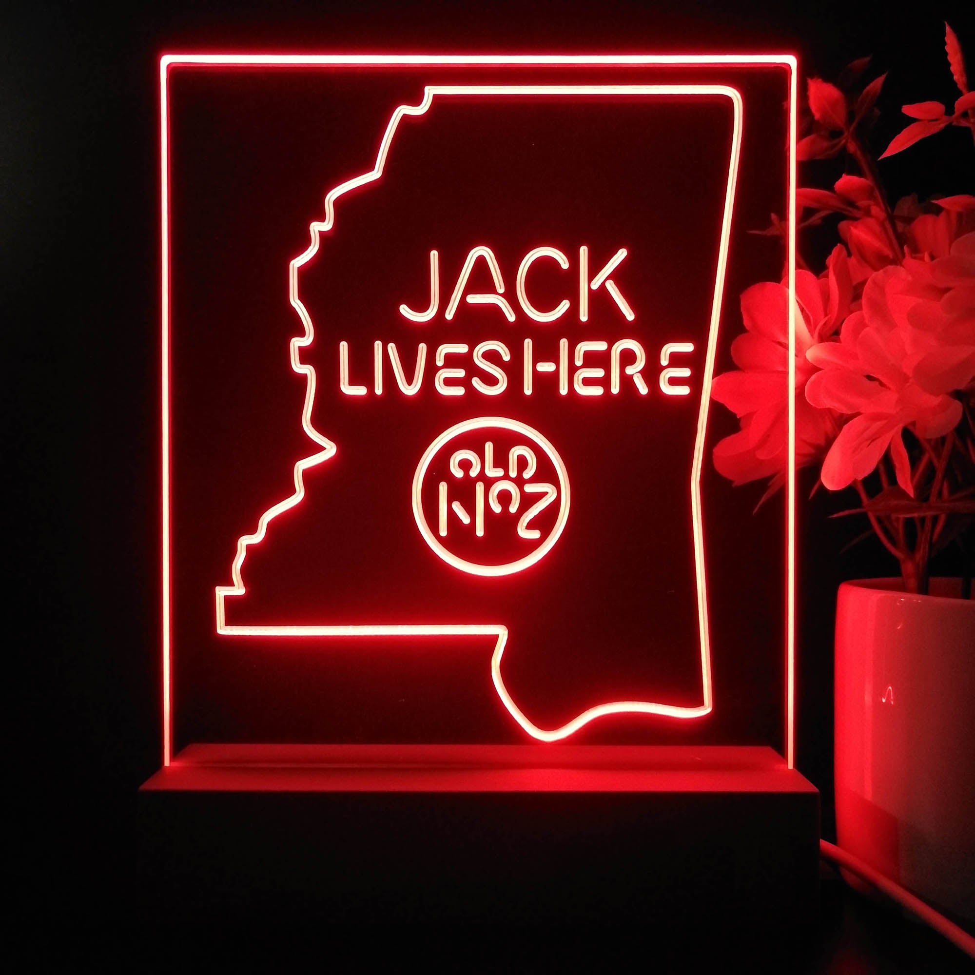 Mississippi Jack Lives Here Night Light Neon Pub Bar Lamp