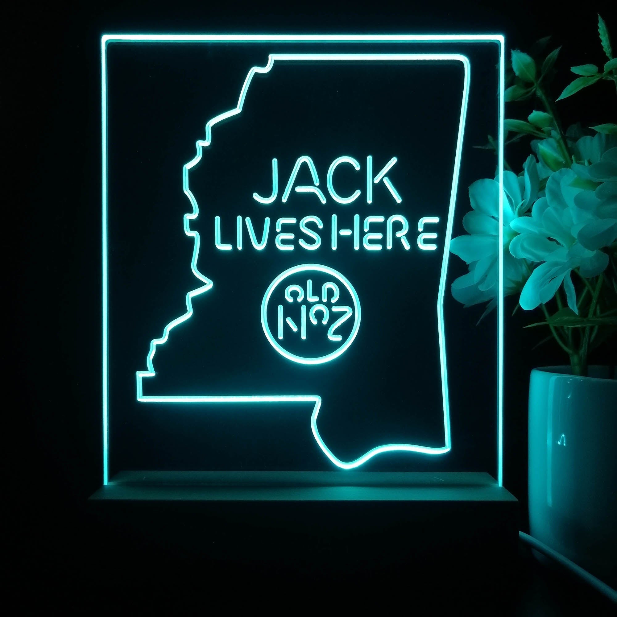 Mississippi Jack Lives Here Night Light Neon Pub Bar Lamp