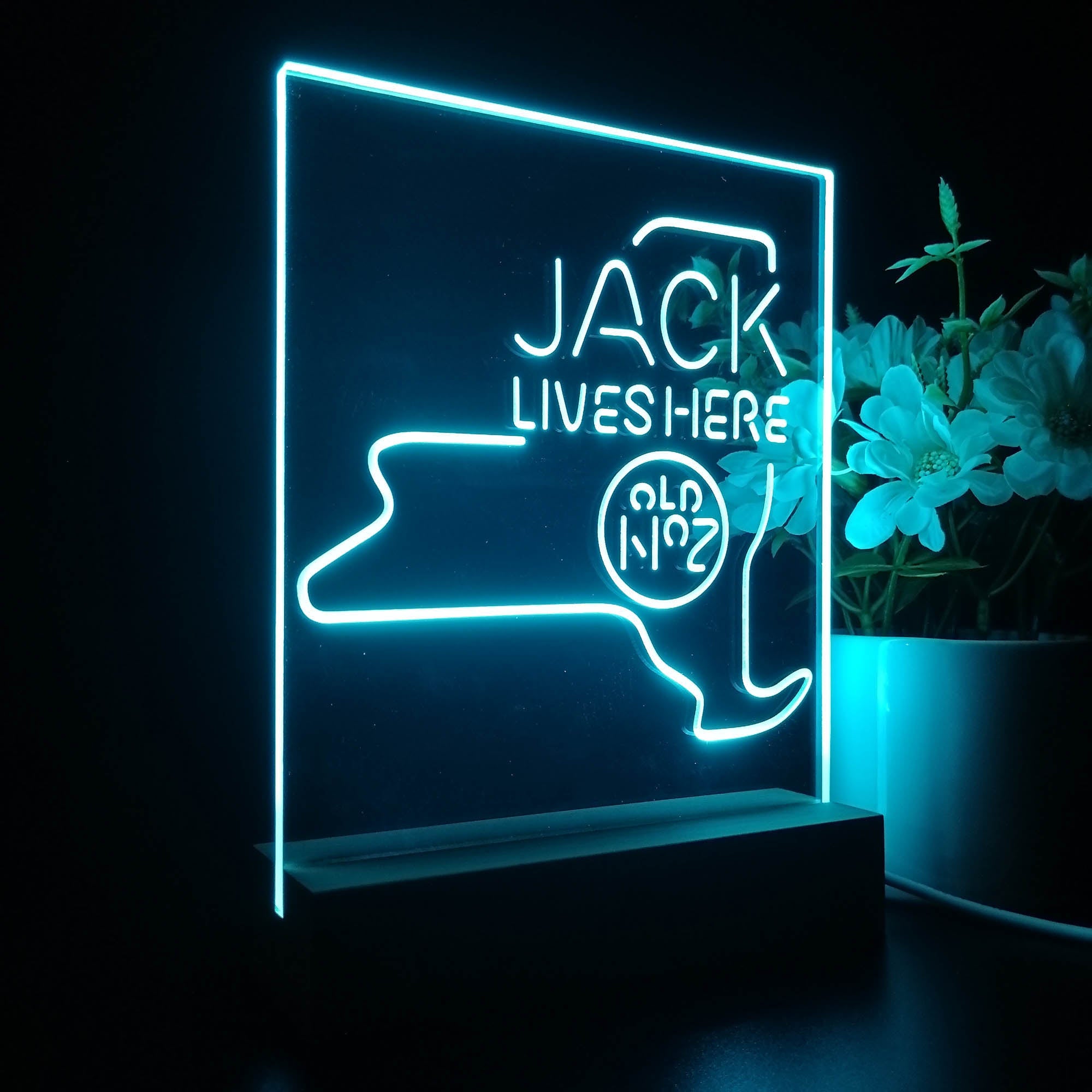 New York Jack Lives Here 3D Illusion Night Light Desk Lamp