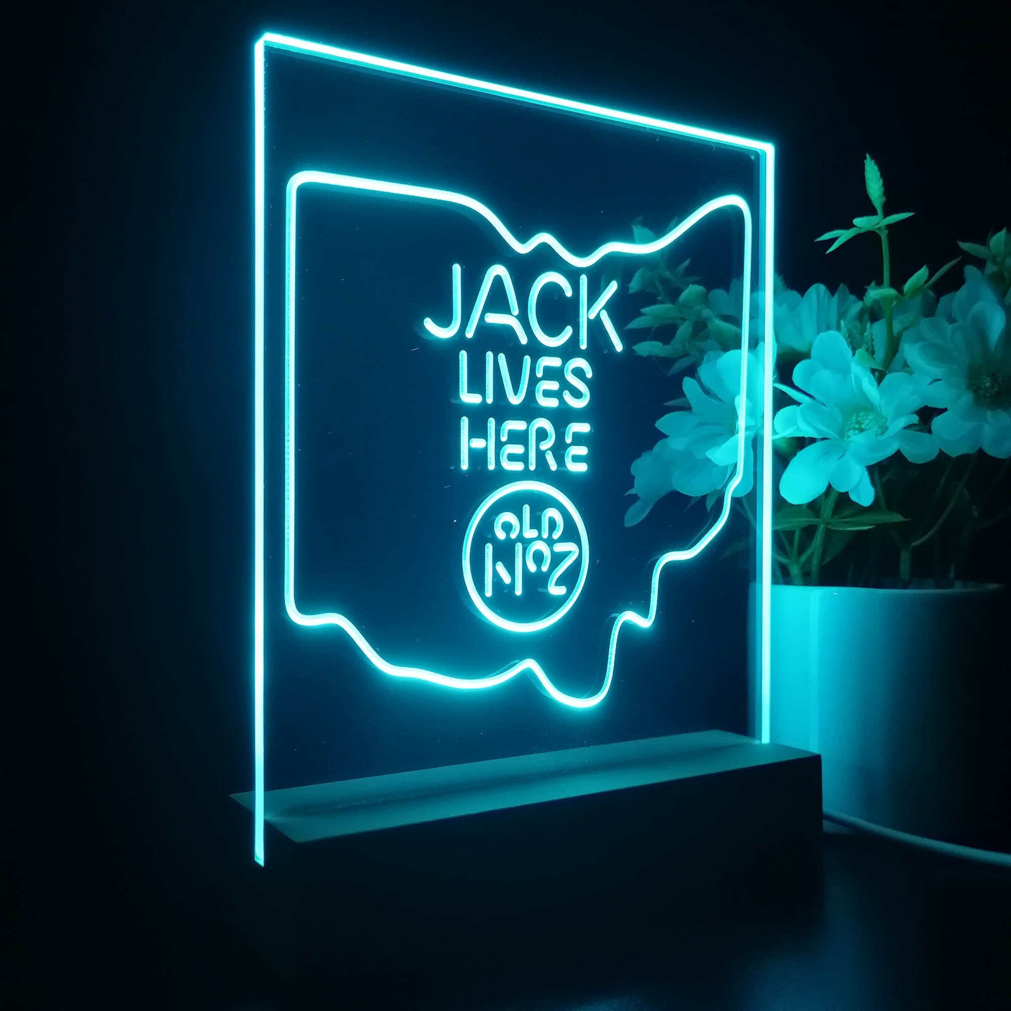 Ohio Jack Lives Here 3D Illusion Night Light Desk Lamp