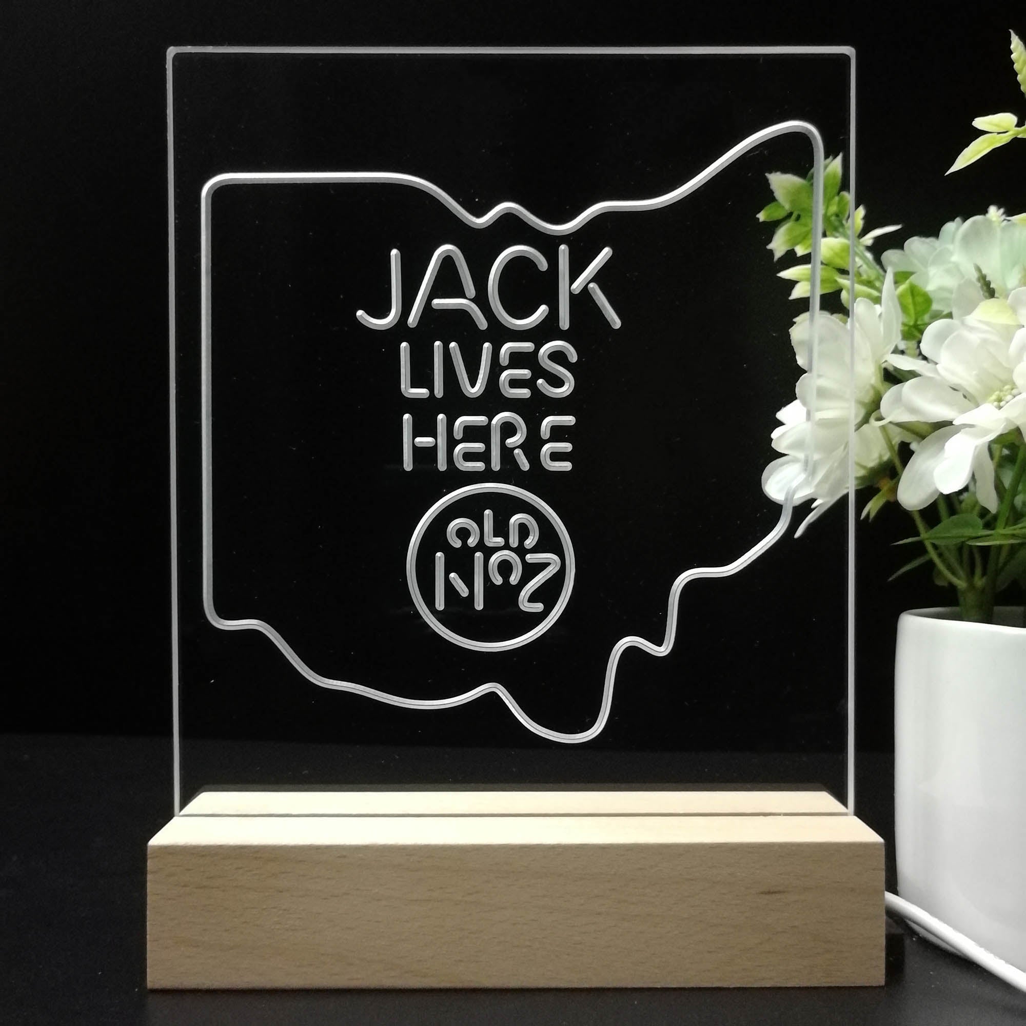 Ohio Jack Lives Here 3D Illusion Night Light Desk Lamp