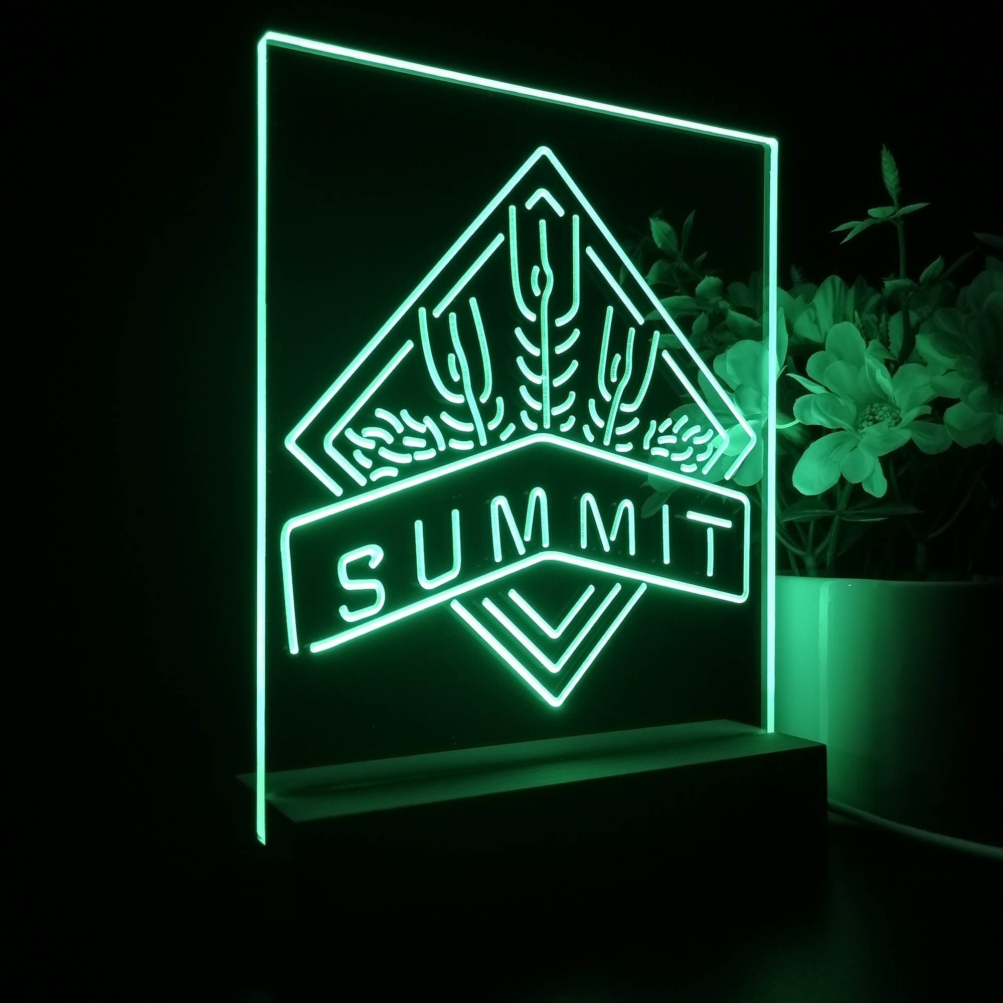 Summit Brewing Co 3D Illusion Night Light Desk Lamp