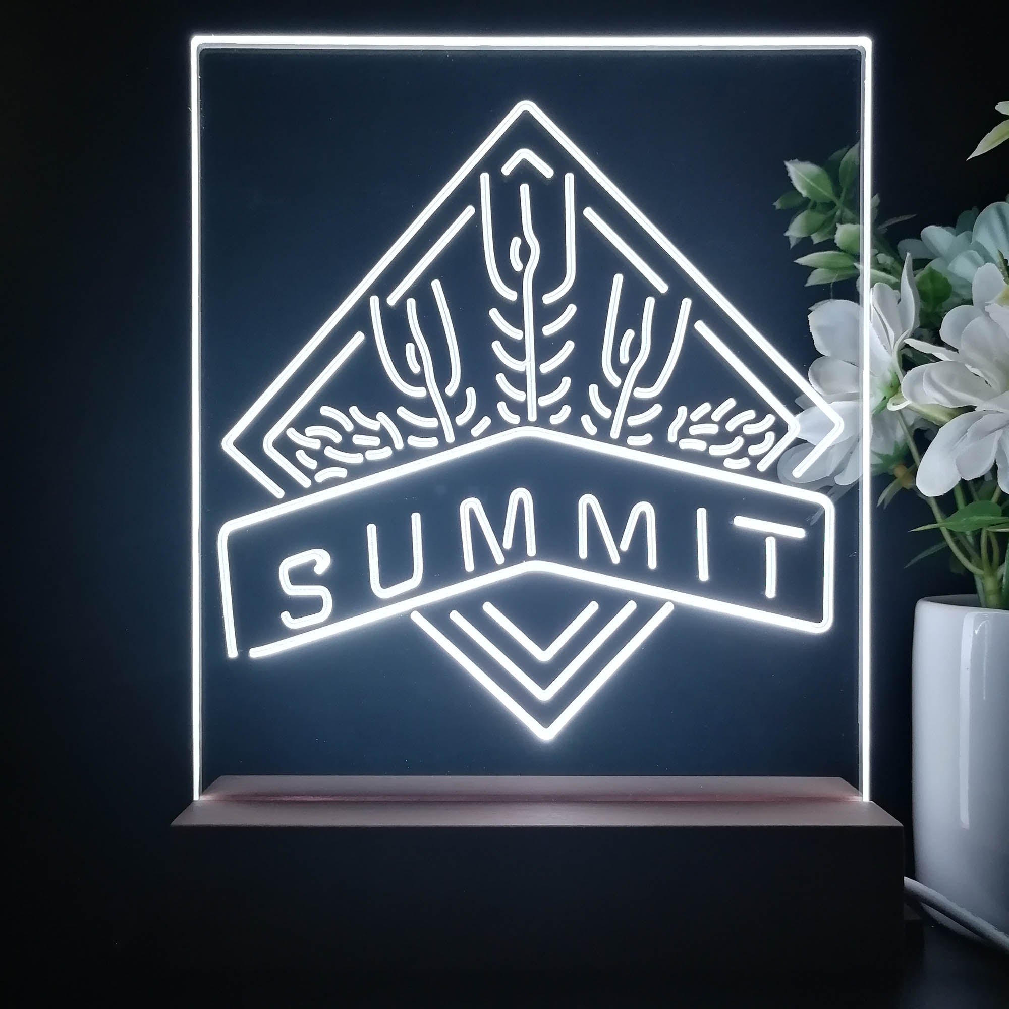 Summit Brewing Co 3D Illusion Night Light Desk Lamp