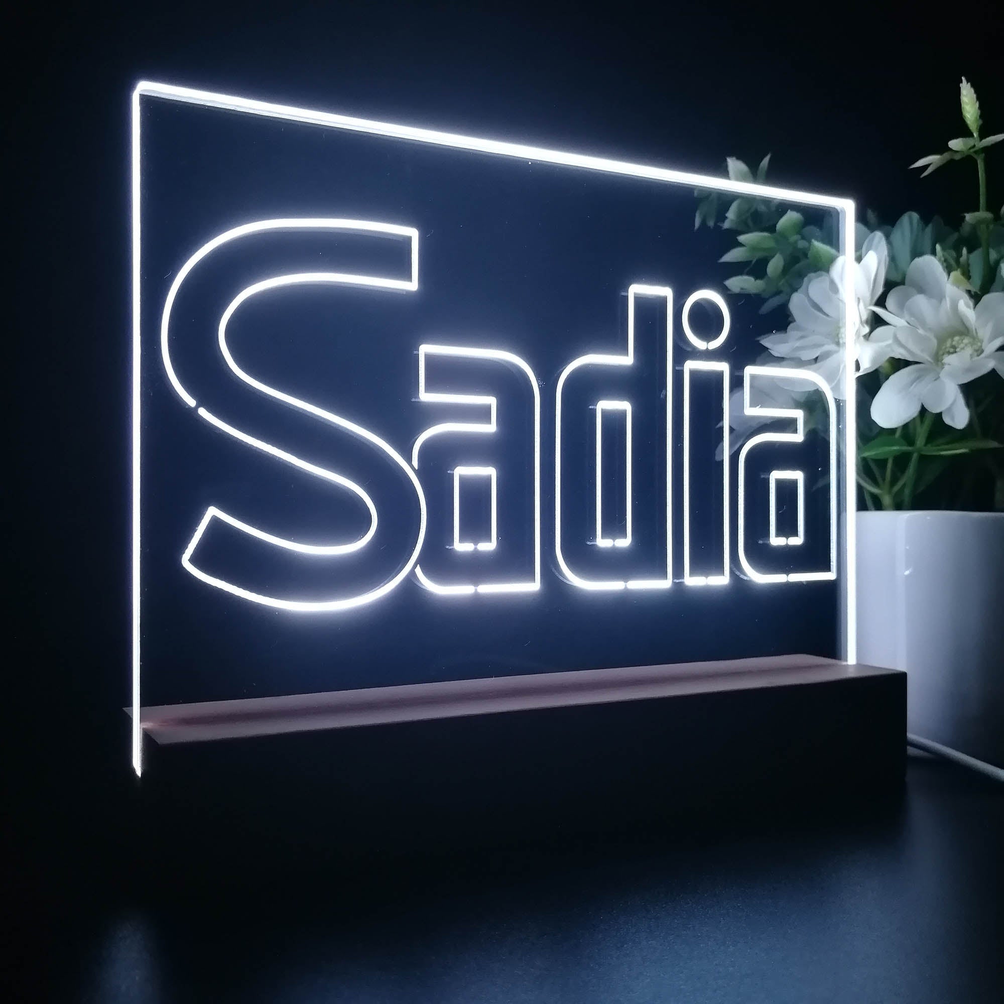 Sadia Neon Sign Pub Bar Lamp