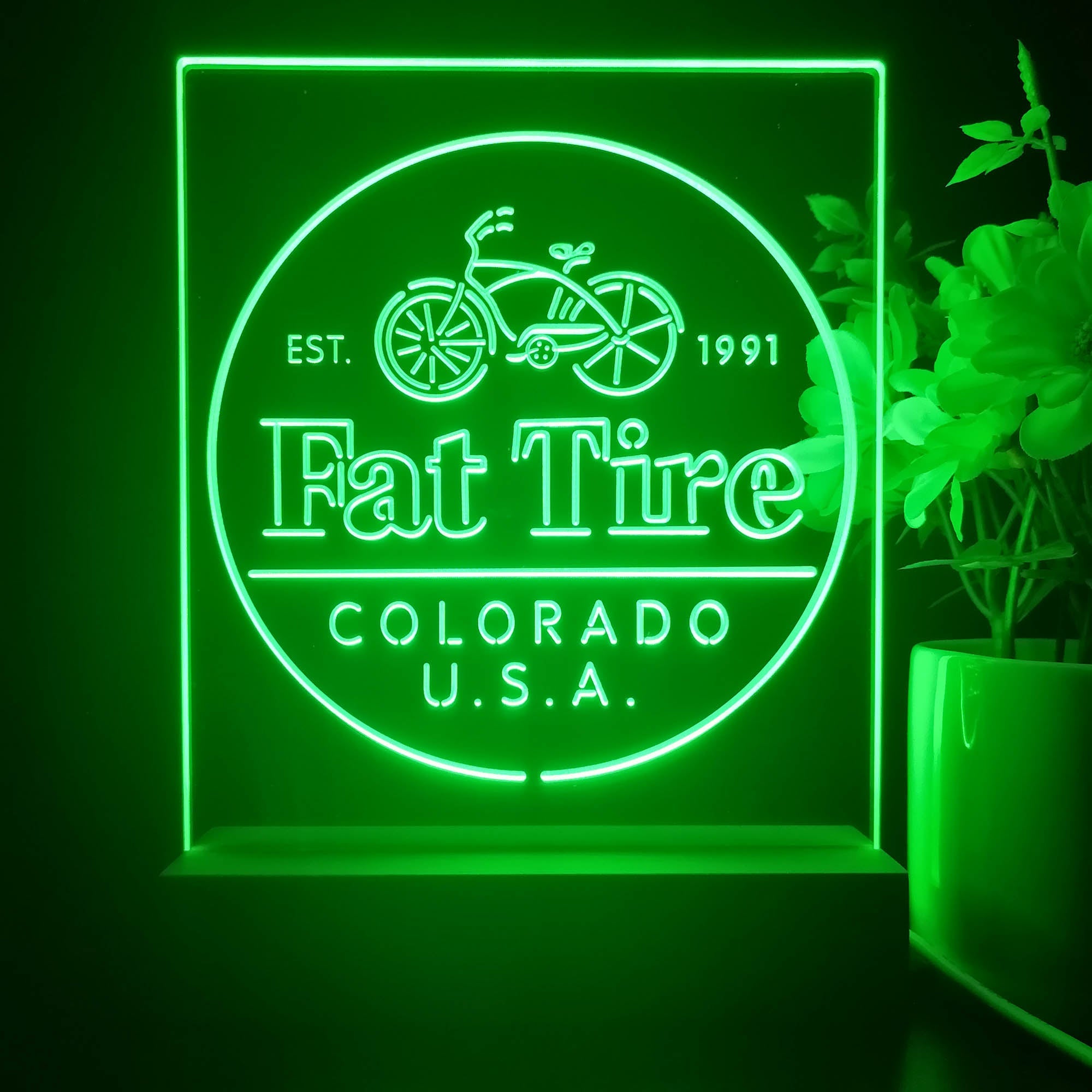 Fat Tire Est. 1991 Colorado USA 3D Illusion Night Light Desk Lamp