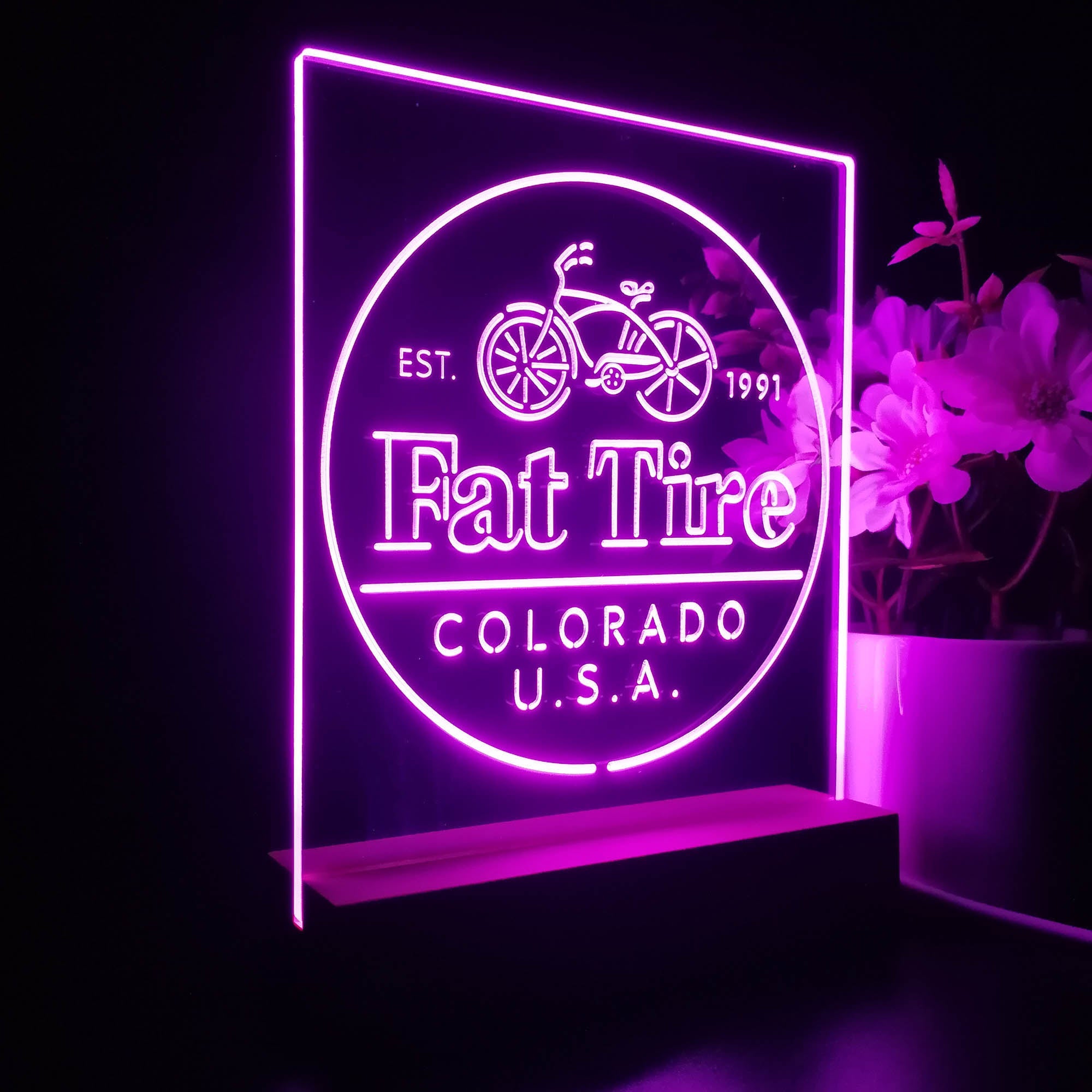 Fat Tire Est. 1991 Colorado USA 3D Illusion Night Light Desk Lamp