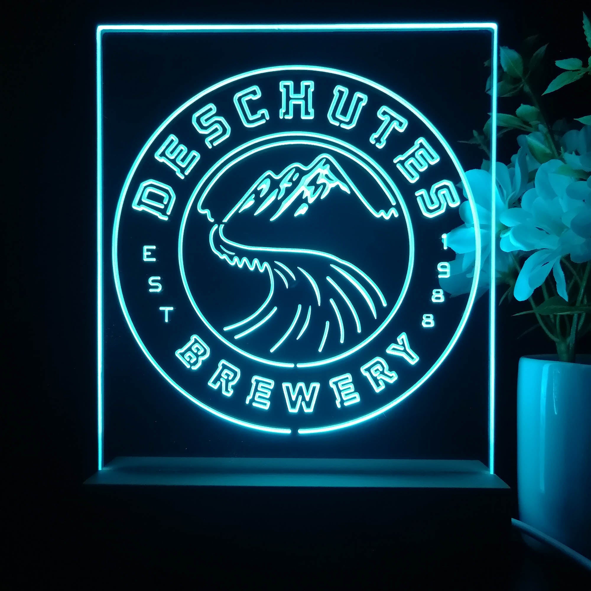 Deschutes Brewery Co. Night Light Neon Pub Bar Lamp