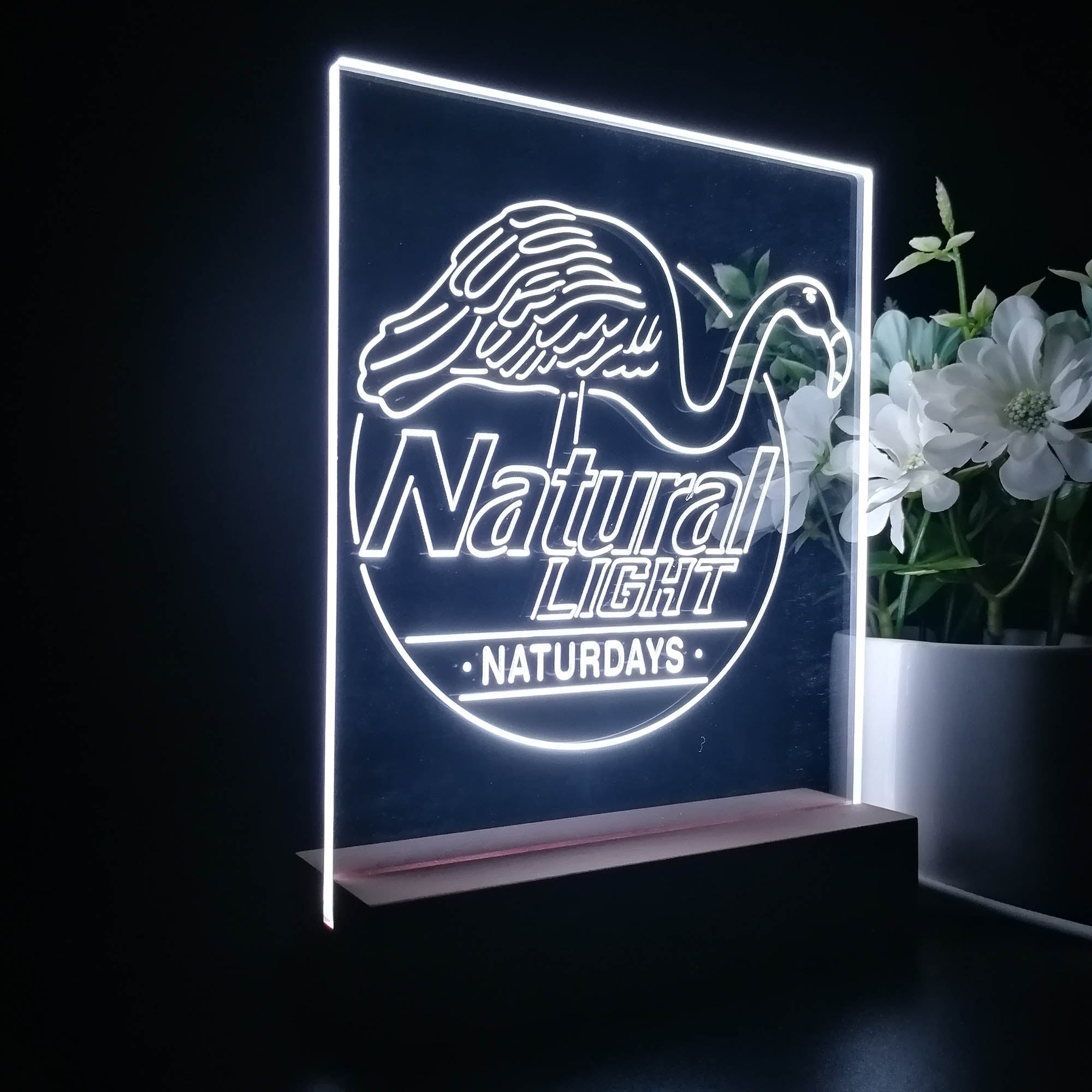 Natural Light Naturdays 3D Illusion Night Light Desk Lamp