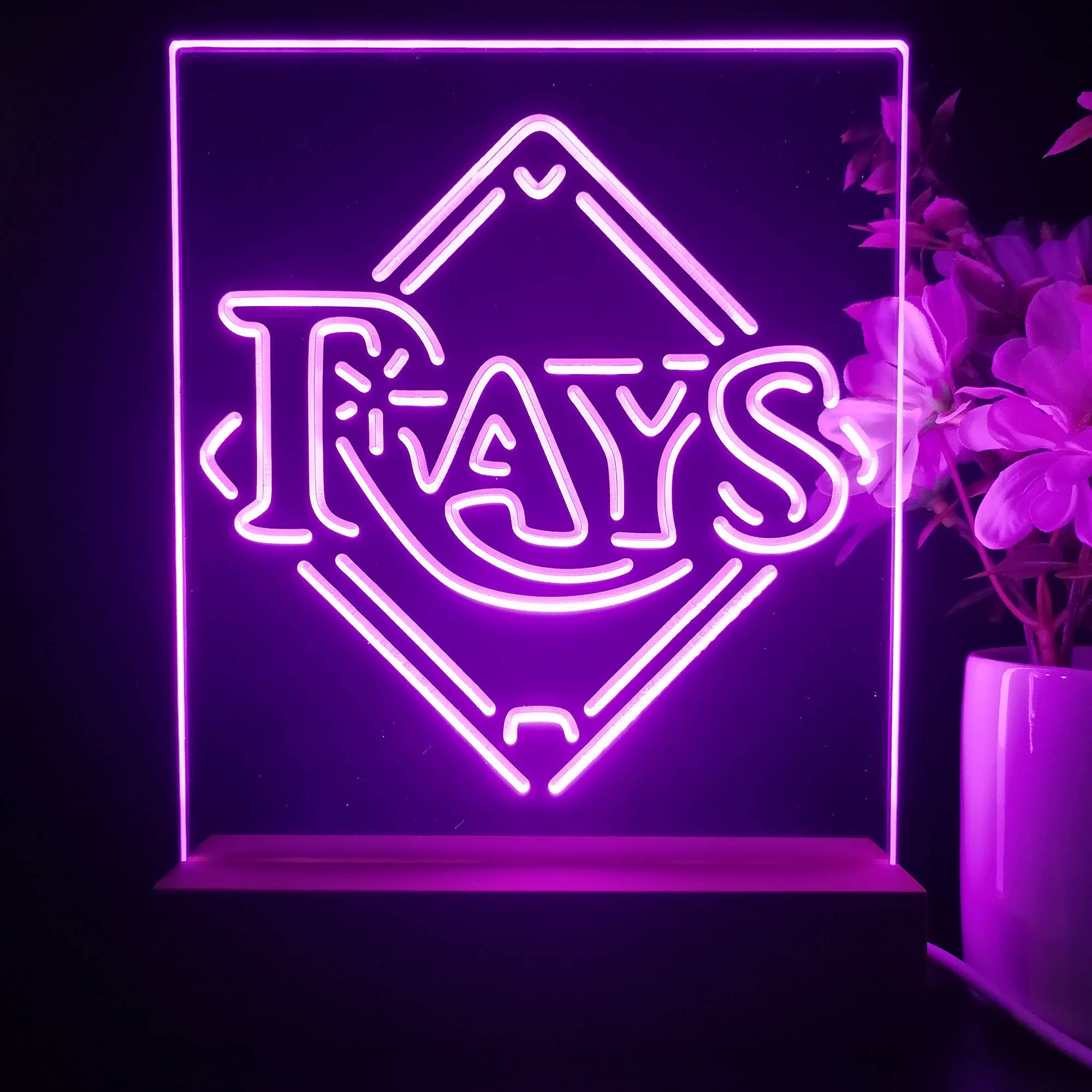 Tampa Bay Rays Neon Sign Table Top Lamp