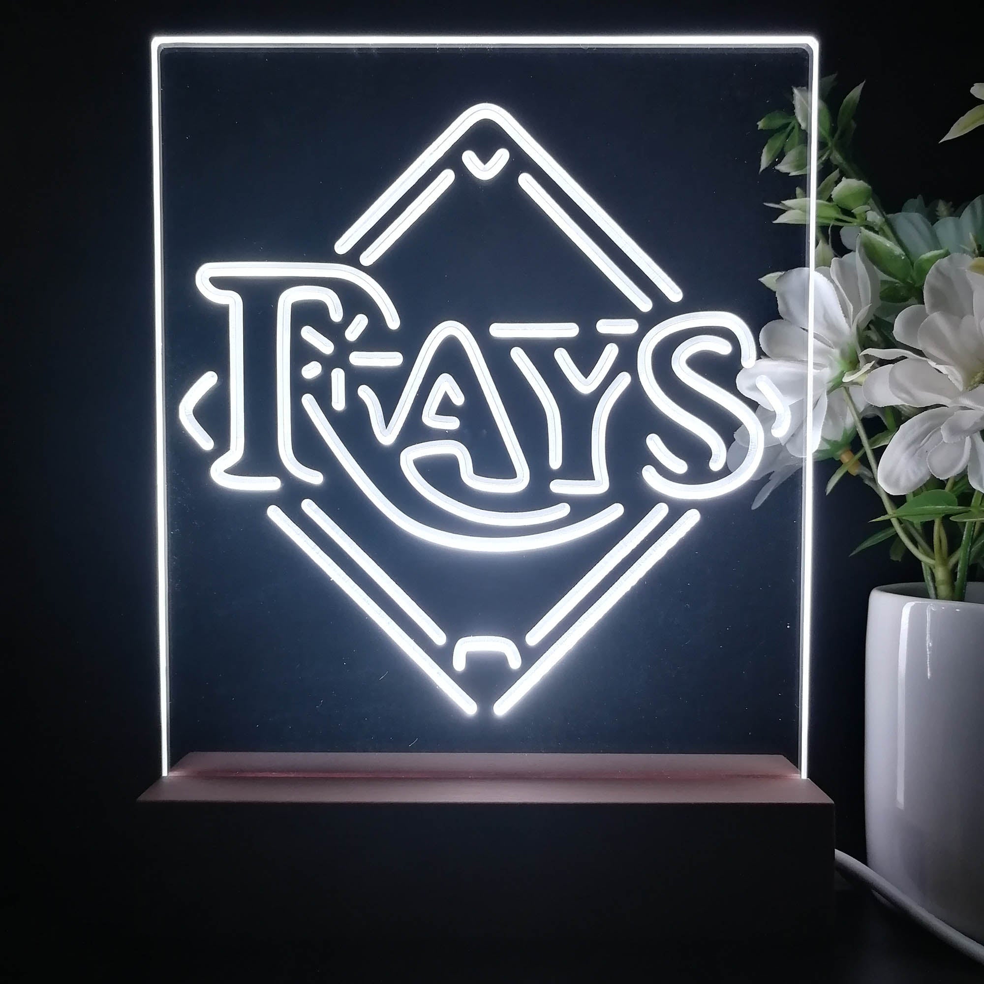 Tampa Bay Rays Neon Sign Table Top Lamp