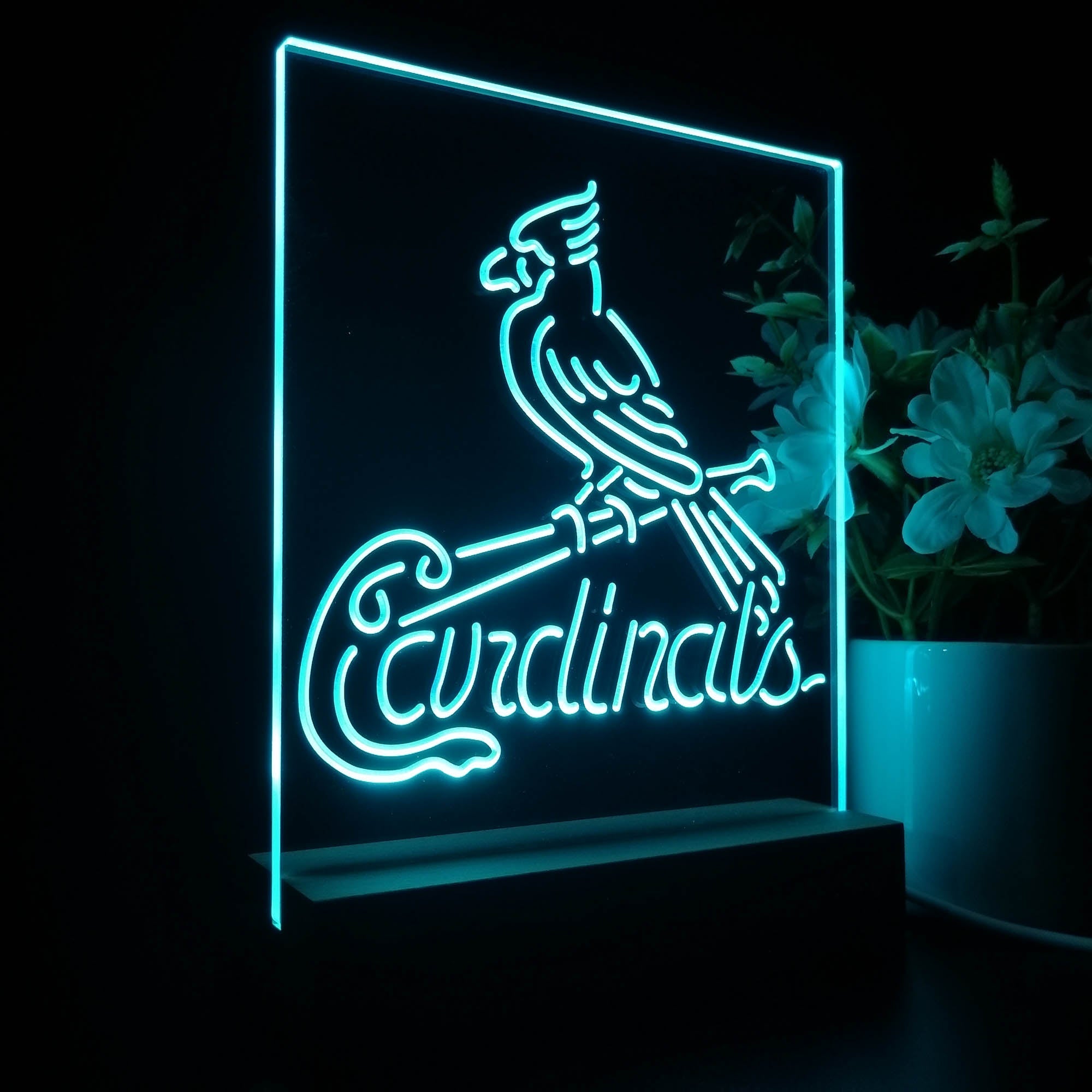 Queen Sense 24x24 for Cardinal Logo (St Louis) Neon Sign Light Lamp with  HD Vivid Printing Tech Artwork A124SLCVVD