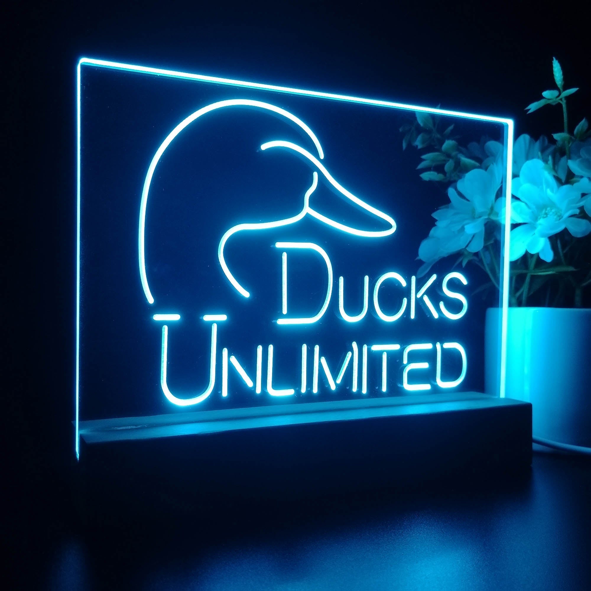 Ducks Unlimited 3D Illusion Night Light Desk Lamp