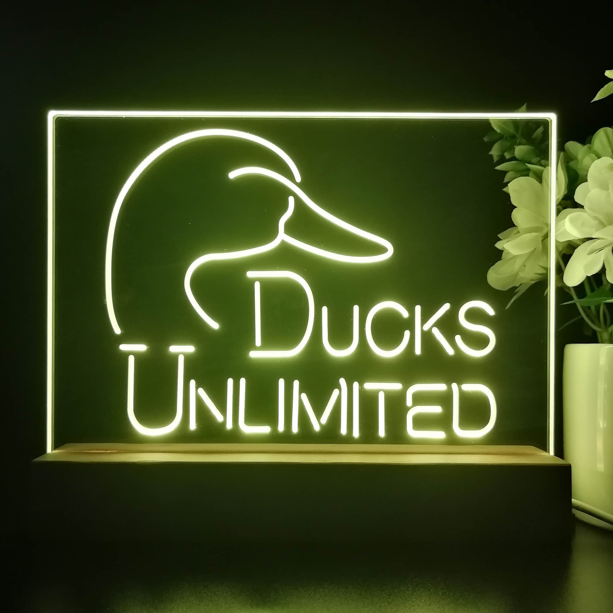 Ducks Unlimited 3D Illusion Night Light Desk Lamp