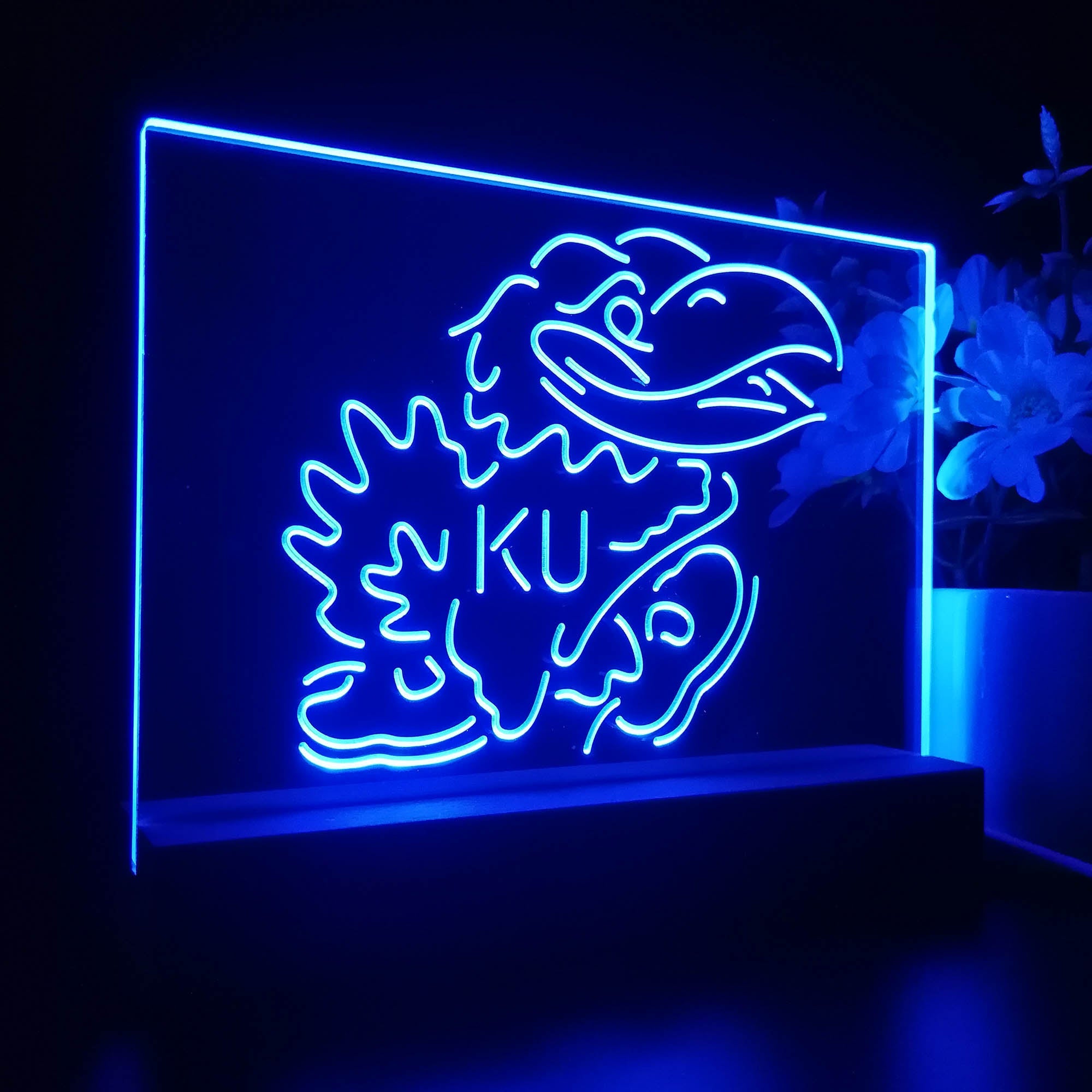 Kansas Jayhawks KU 3D Illusion Night Light Desk Lamp