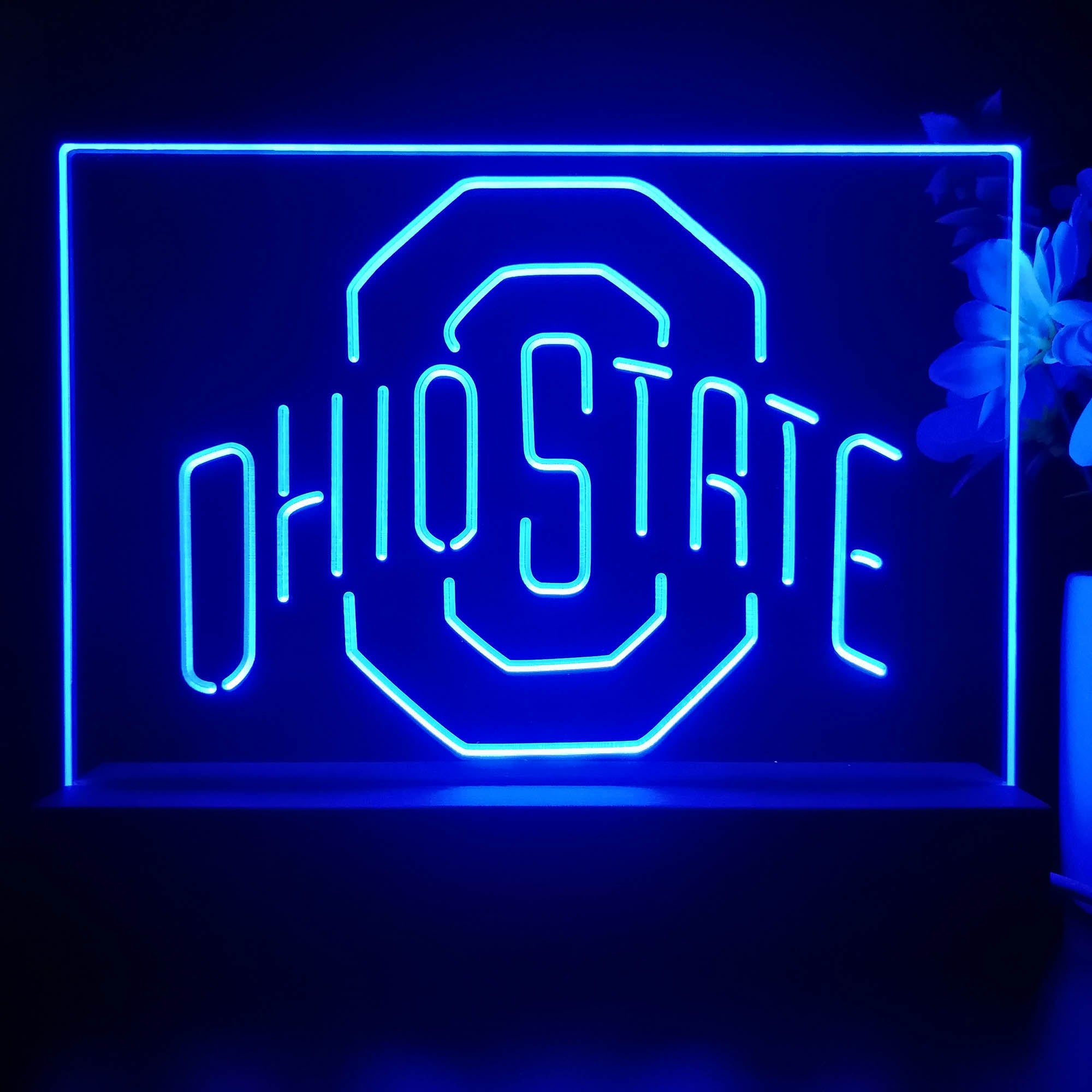 Ohio State Buckeyes 3D Illusion Night Light Desk Lamp