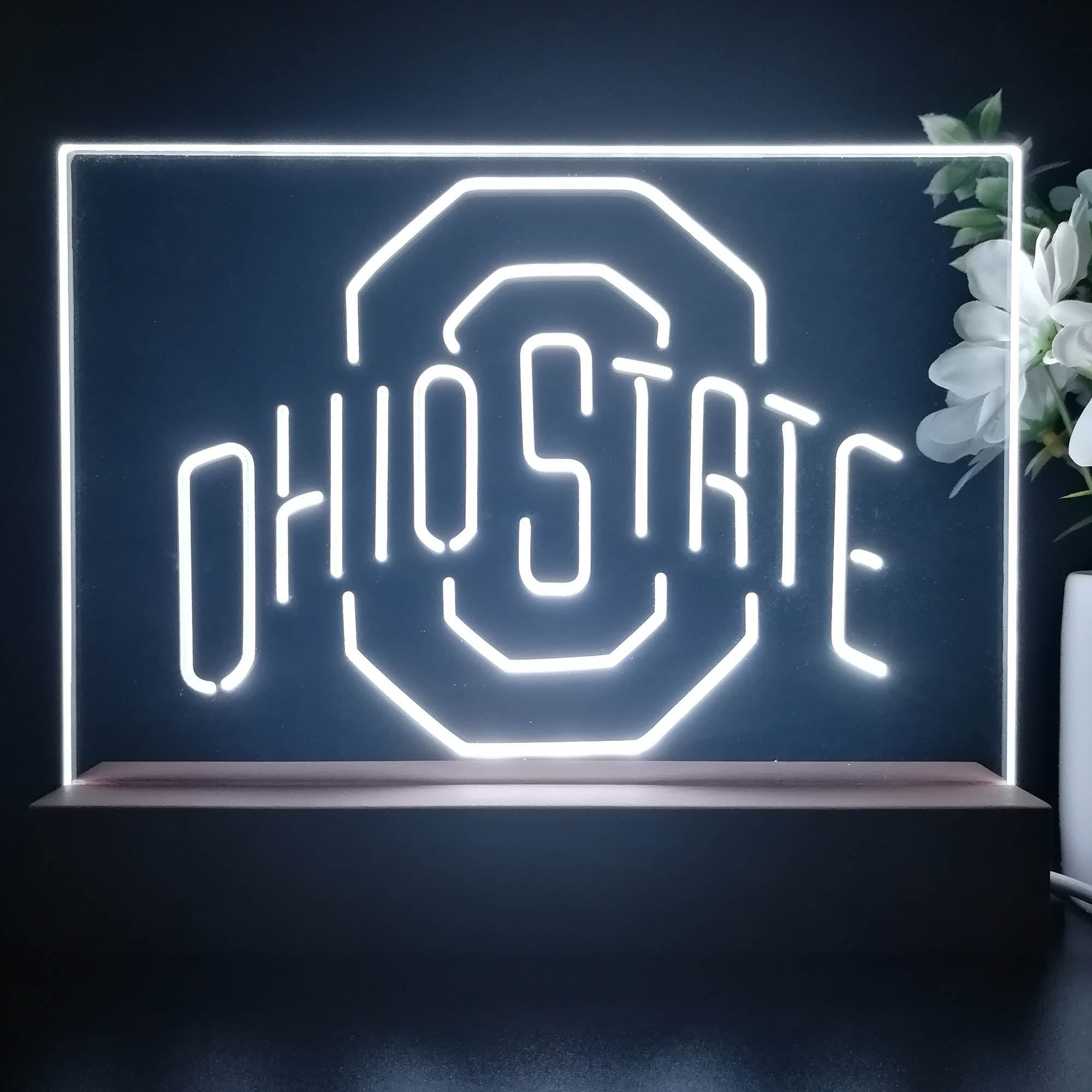 Ohio State Buckeyes 3D Illusion Night Light Desk Lamp