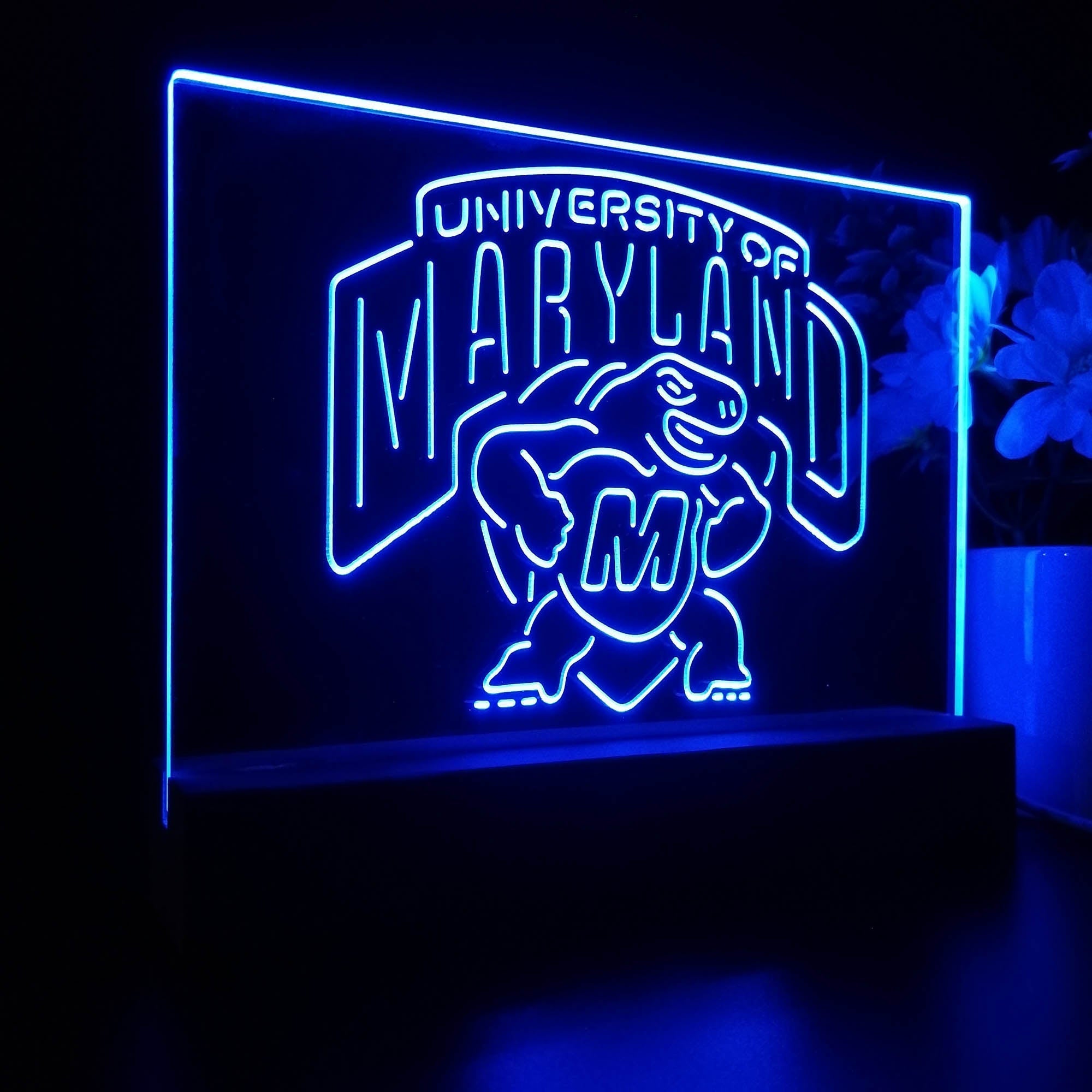 University of Maryland Terrapins 3D Illusion Night Light Desk Lamp