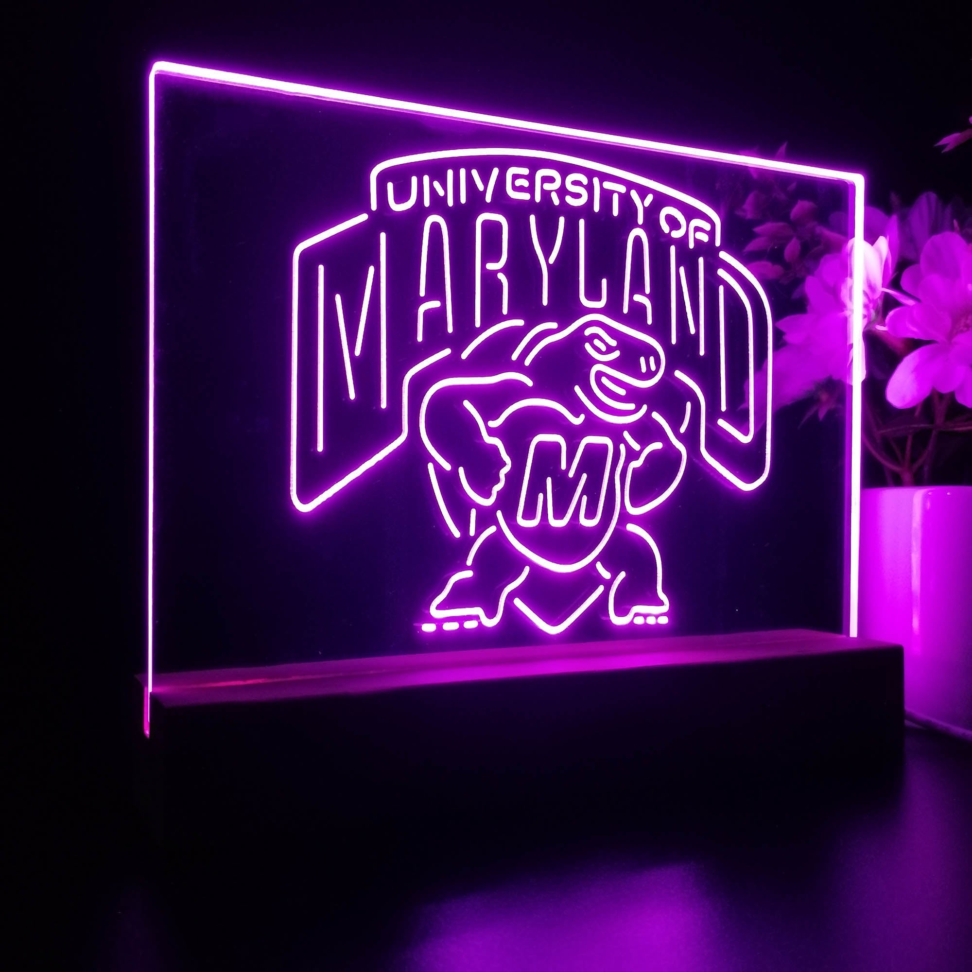 University of Maryland Terrapins 3D Illusion Night Light Desk Lamp