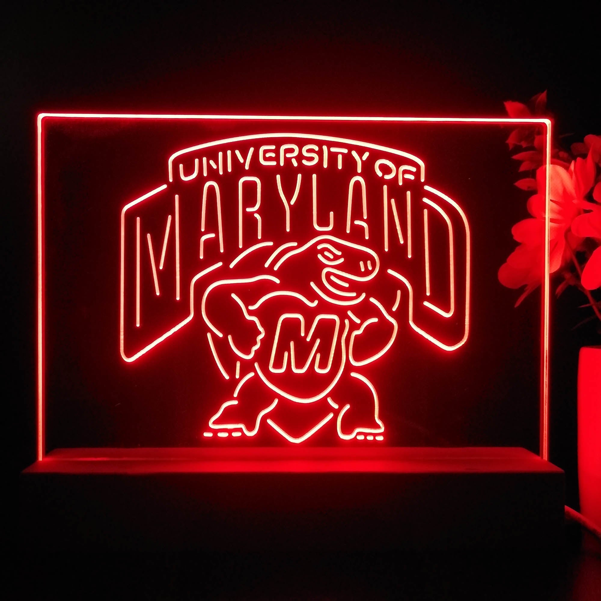 University of Maryland Terrapins 3D Illusion Night Light Desk Lamp