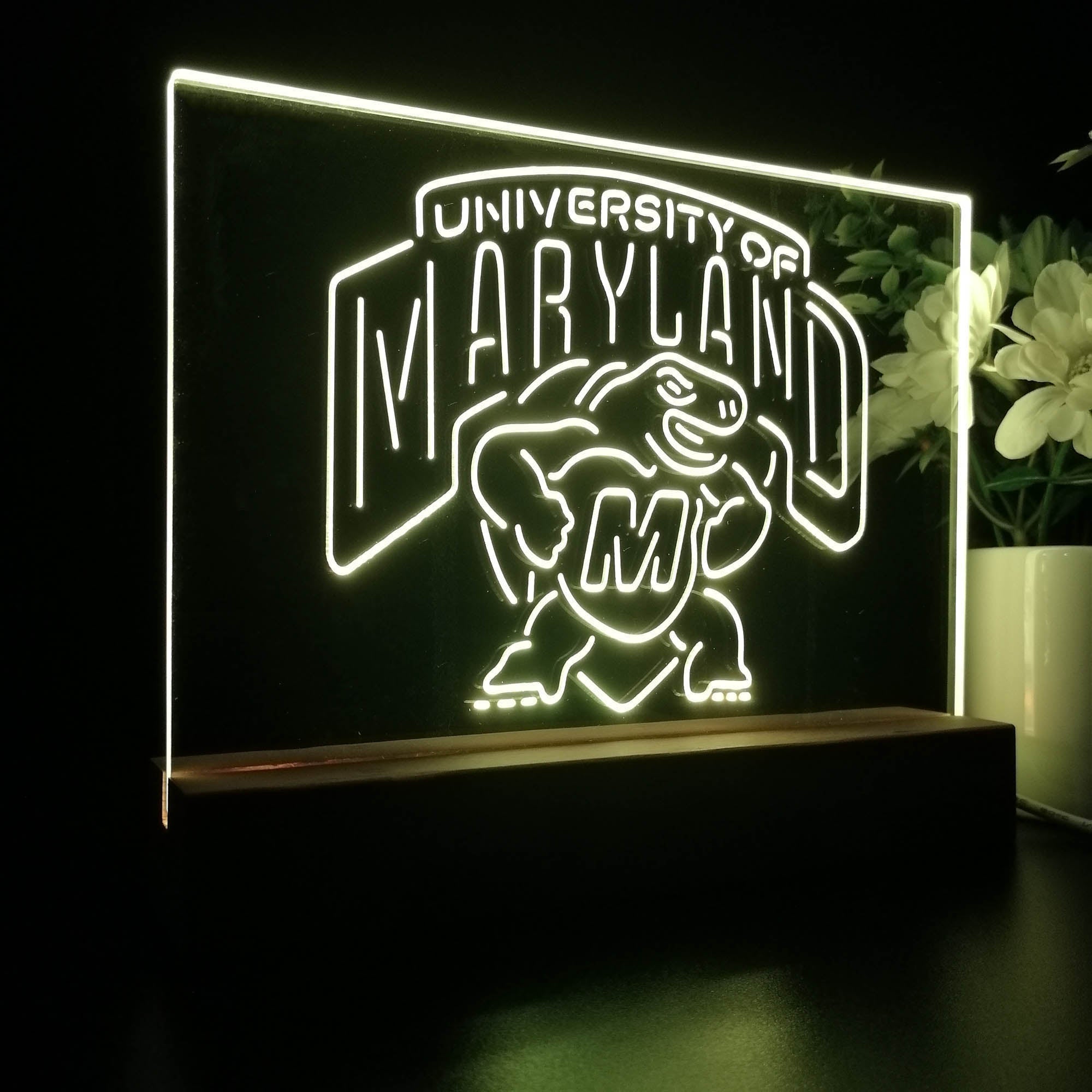 University of Maryland Terrapins 3D Illusion Night Light Desk Lamp