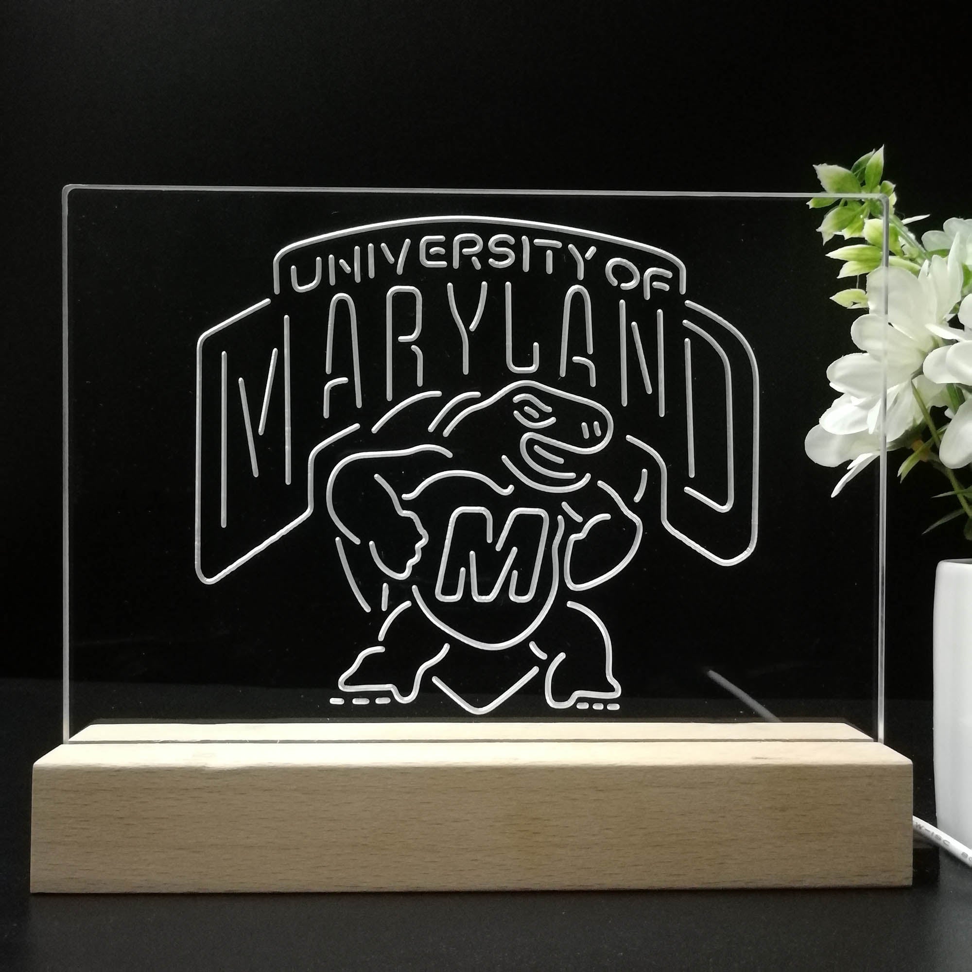 University of Maryland Terrapins 3D Illusion Night Light Desk Lamp