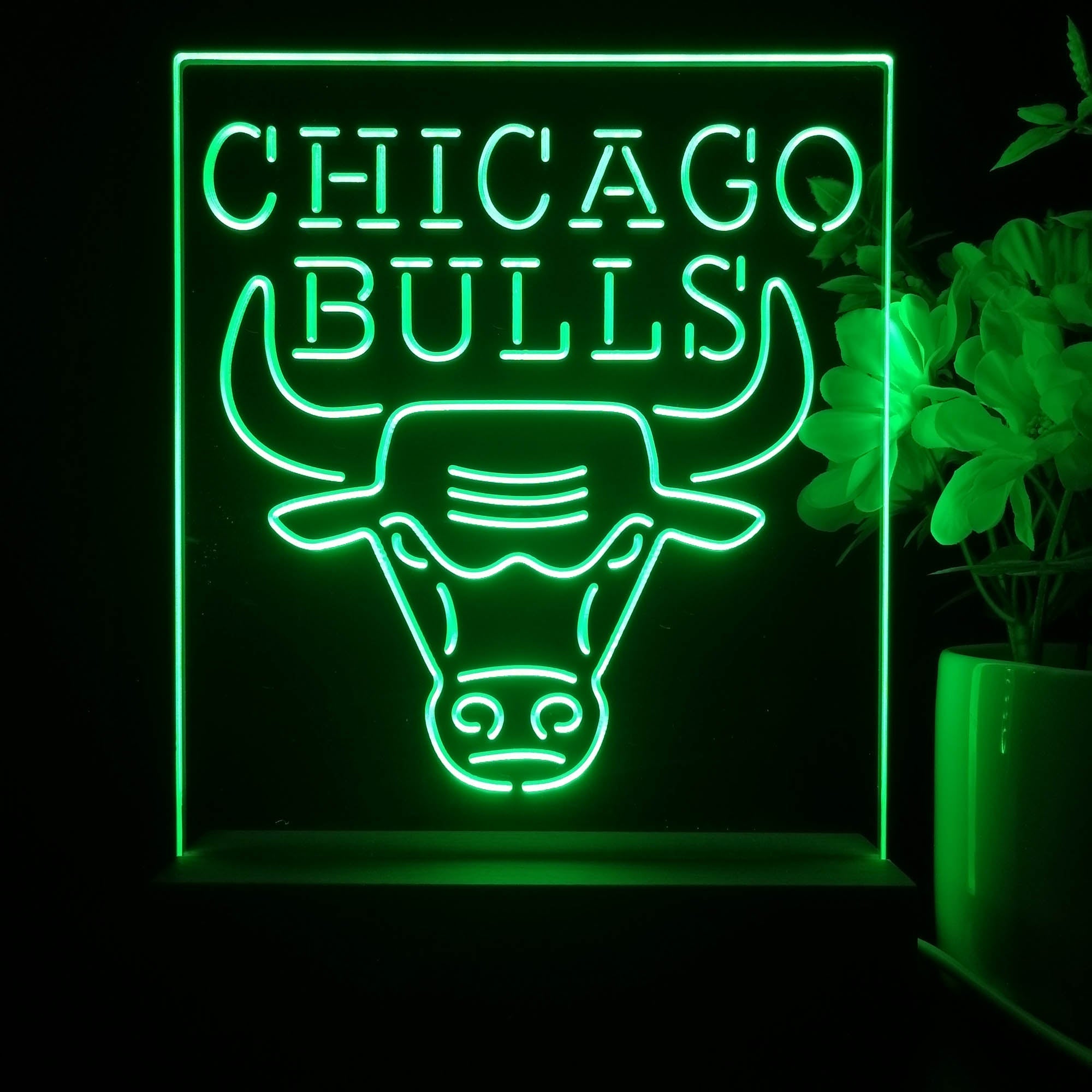 Chicago Bulls Neon Sign Table Lamp Display | PRO LED SIGN