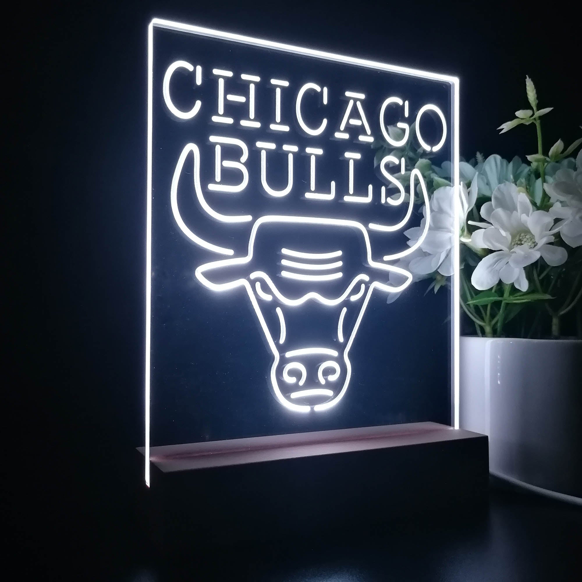 Chicago Bulls Neon Sign Table Lamp Display | PRO LED SIGN