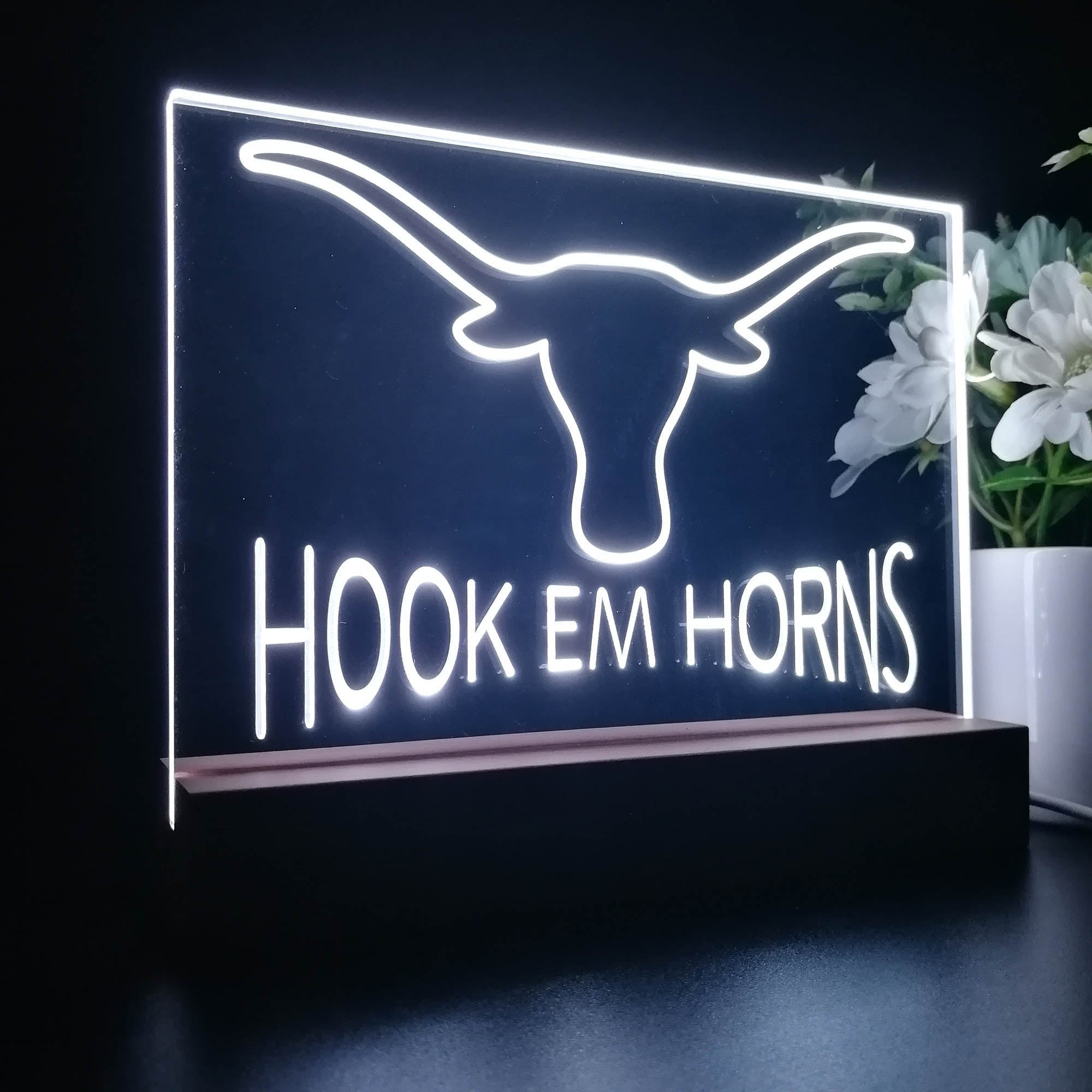 Hook Em Horns University of Texas 3D Illusion Night Light Desk Lamp