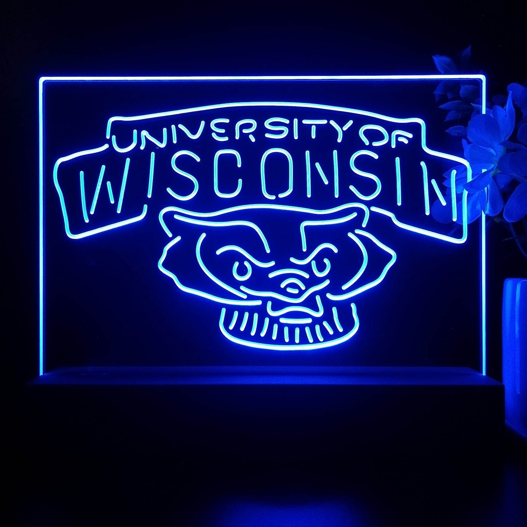 Wisconsin Badgers 3D Illusion Night Light Desk Lamp