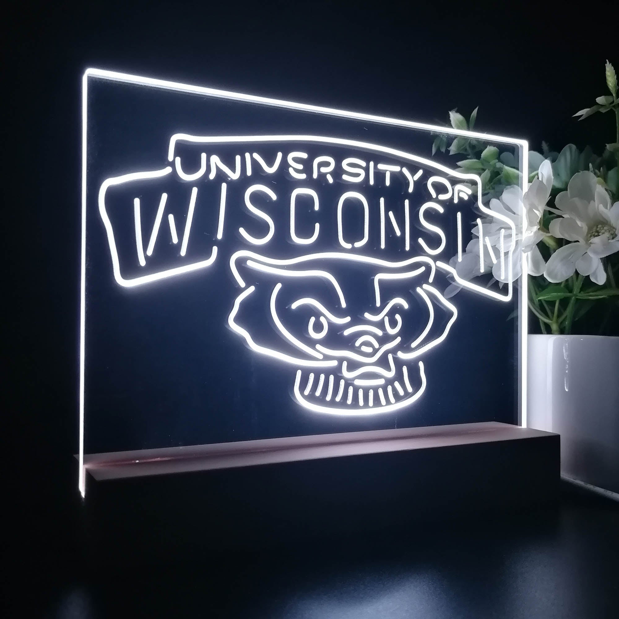 Wisconsin Badgers 3D Illusion Night Light Desk Lamp