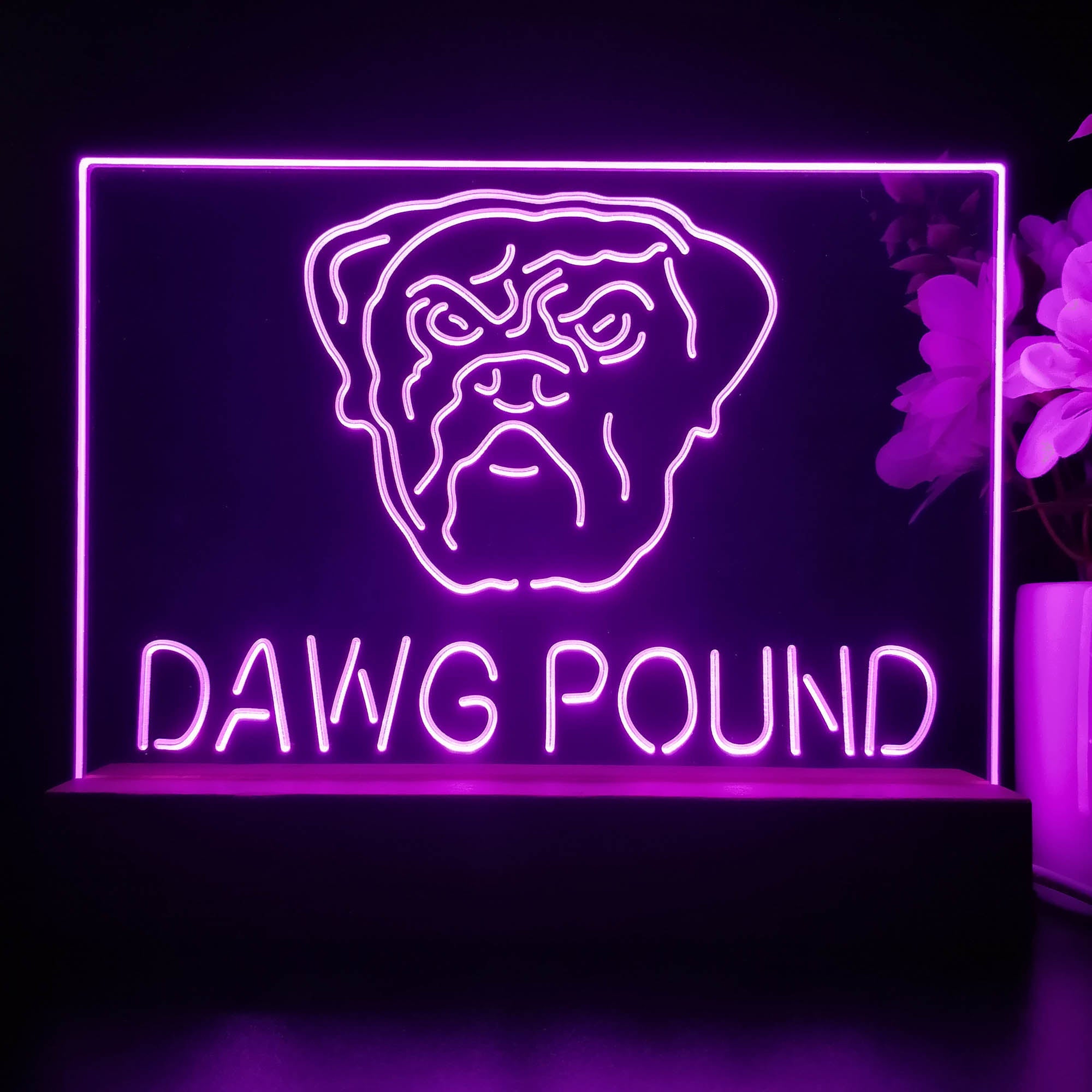 Dawg Pound Cleveland 3D Illusion Night Light Desk Lamp