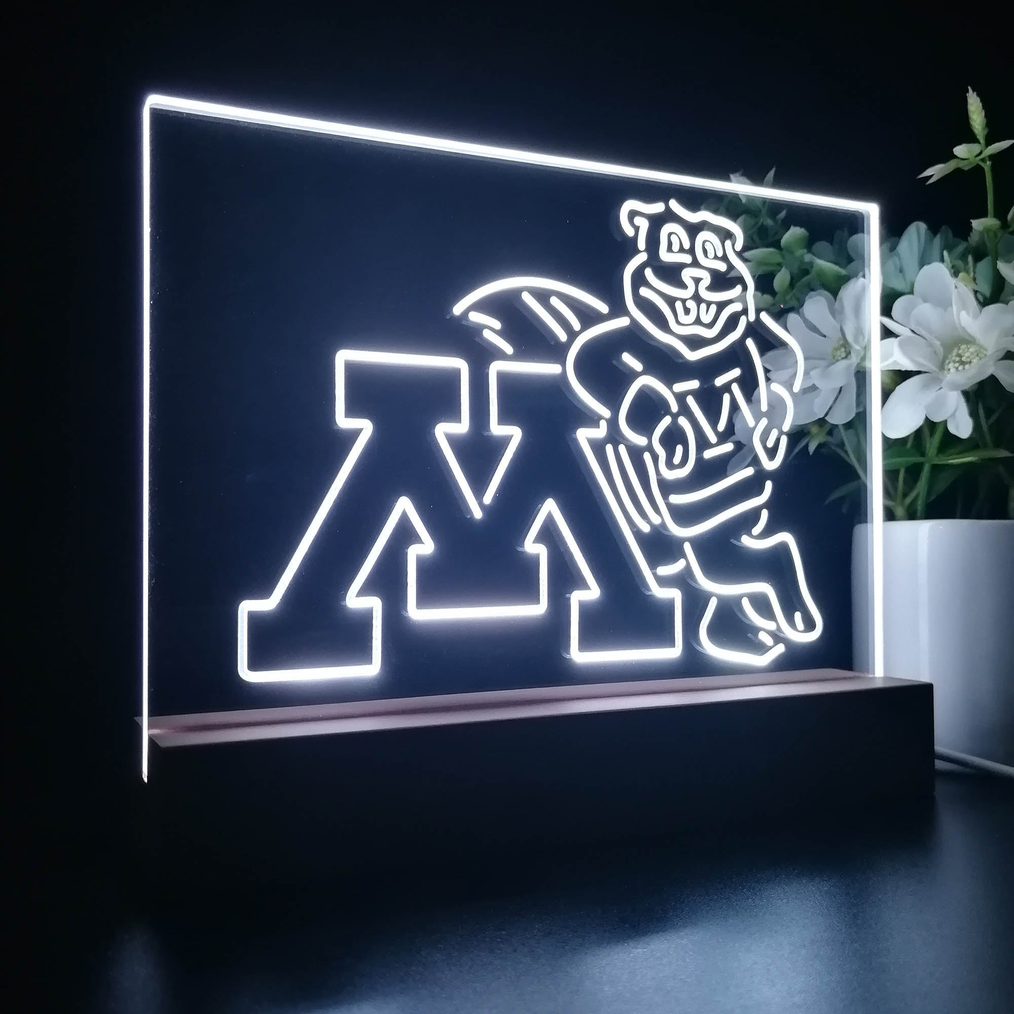 Minnesota Golden Gophers 3D Illusion Night Light Desk Lamp