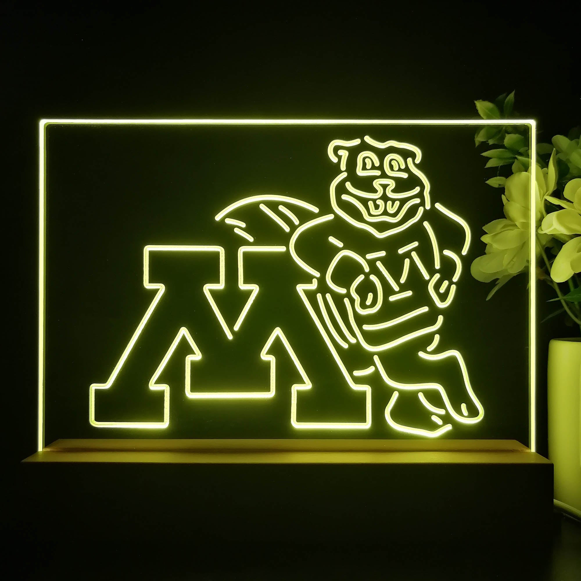Minnesota Golden Gophers 3D Illusion Night Light Desk Lamp
