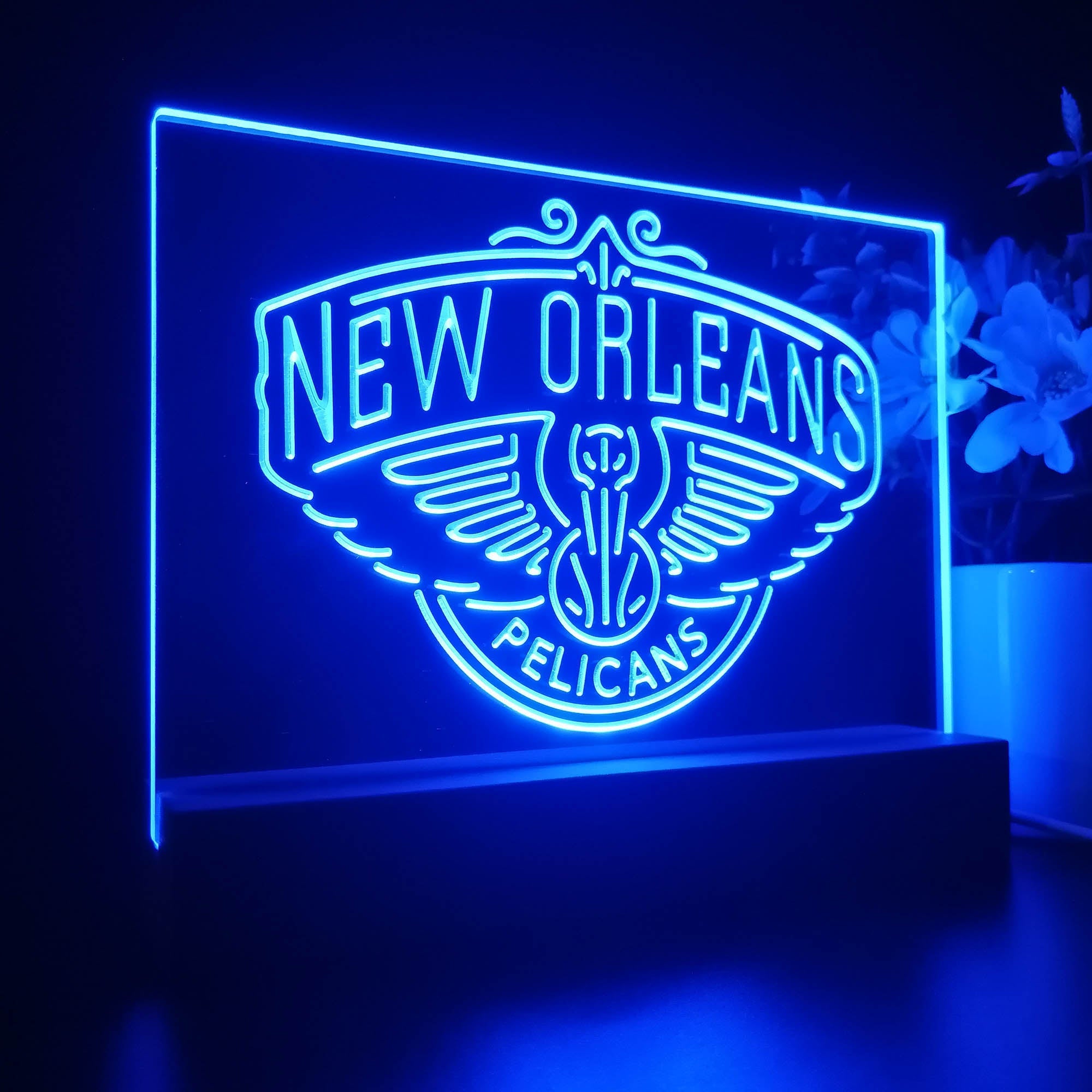 New Orleans Pelicans 3D Illusion Night Light Desk Lamp