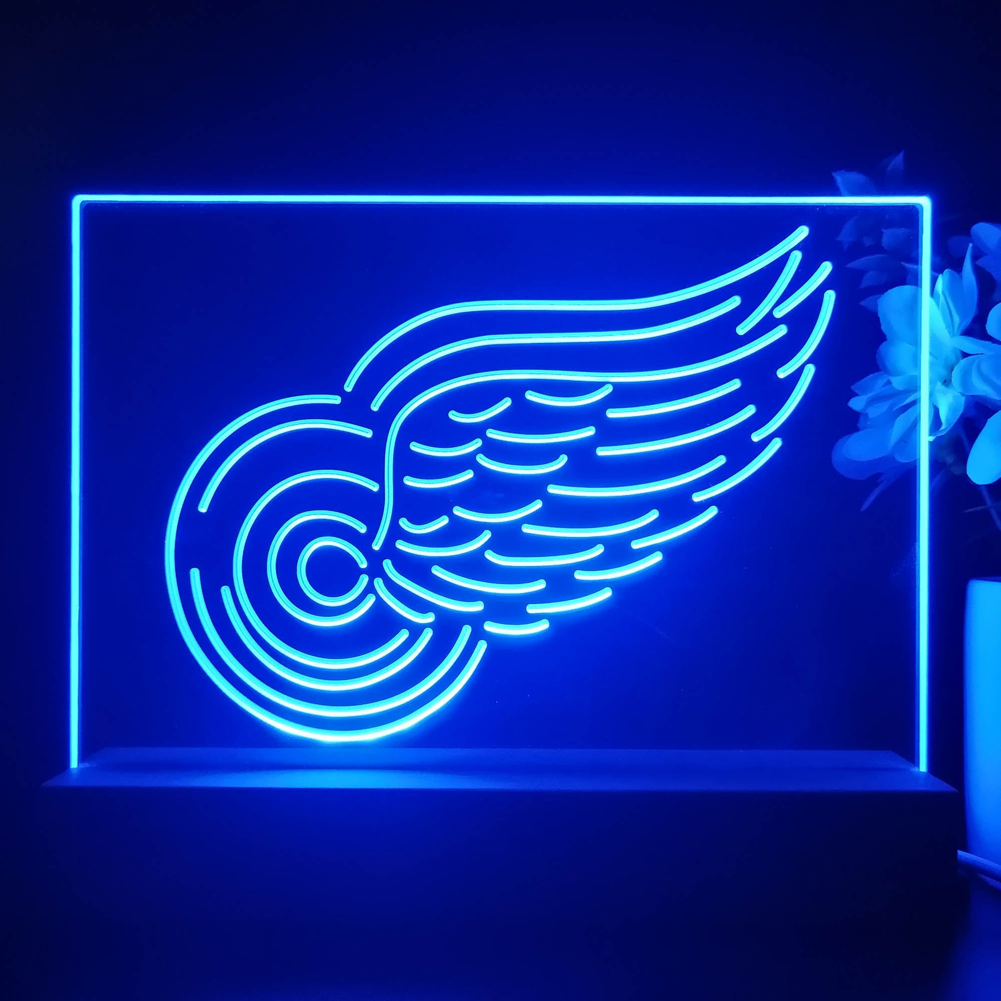 Detroit Red Wings 3D Illusion Night Light Desk Lamp