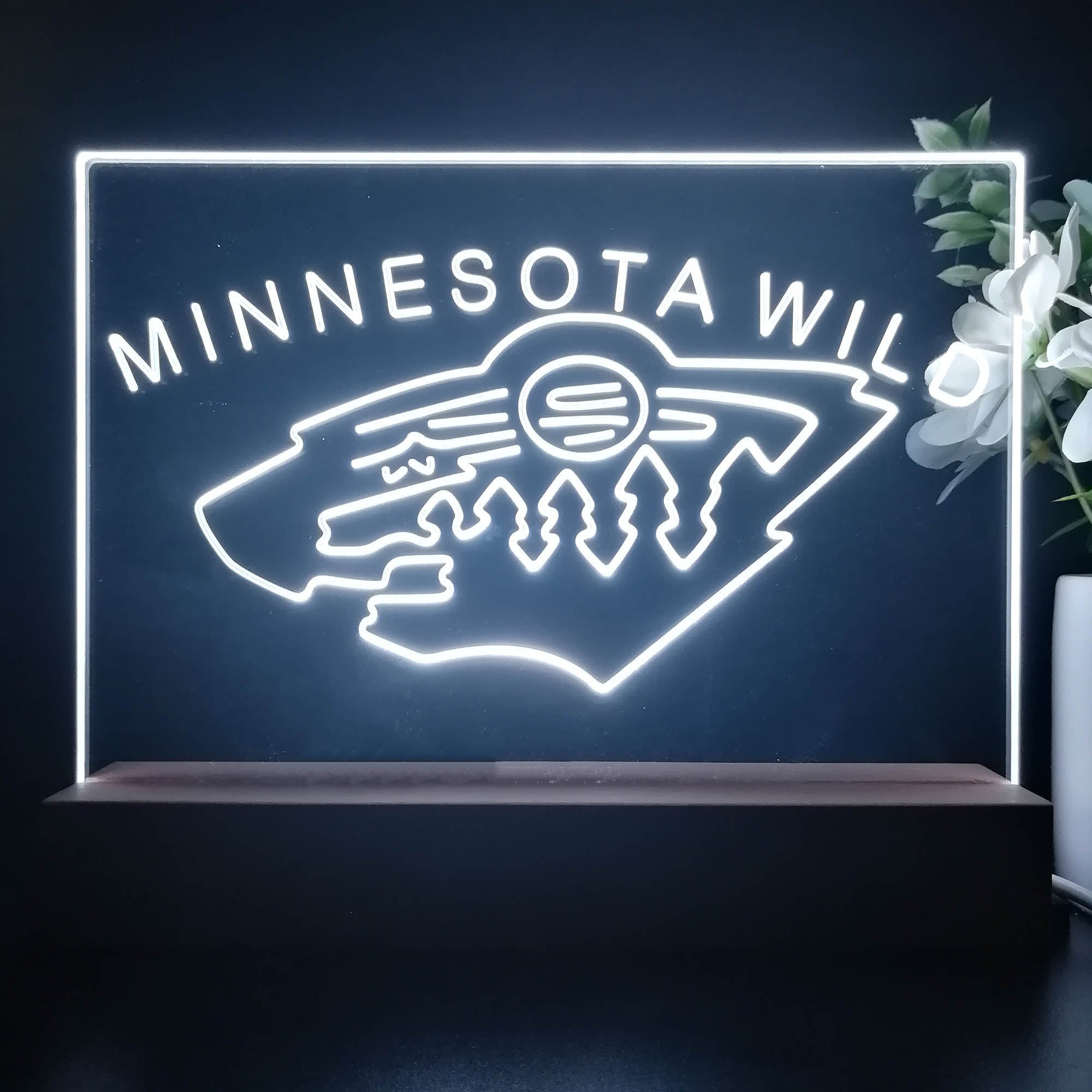 Minnesota Wild 3D Illusion Night Light Desk Lamp