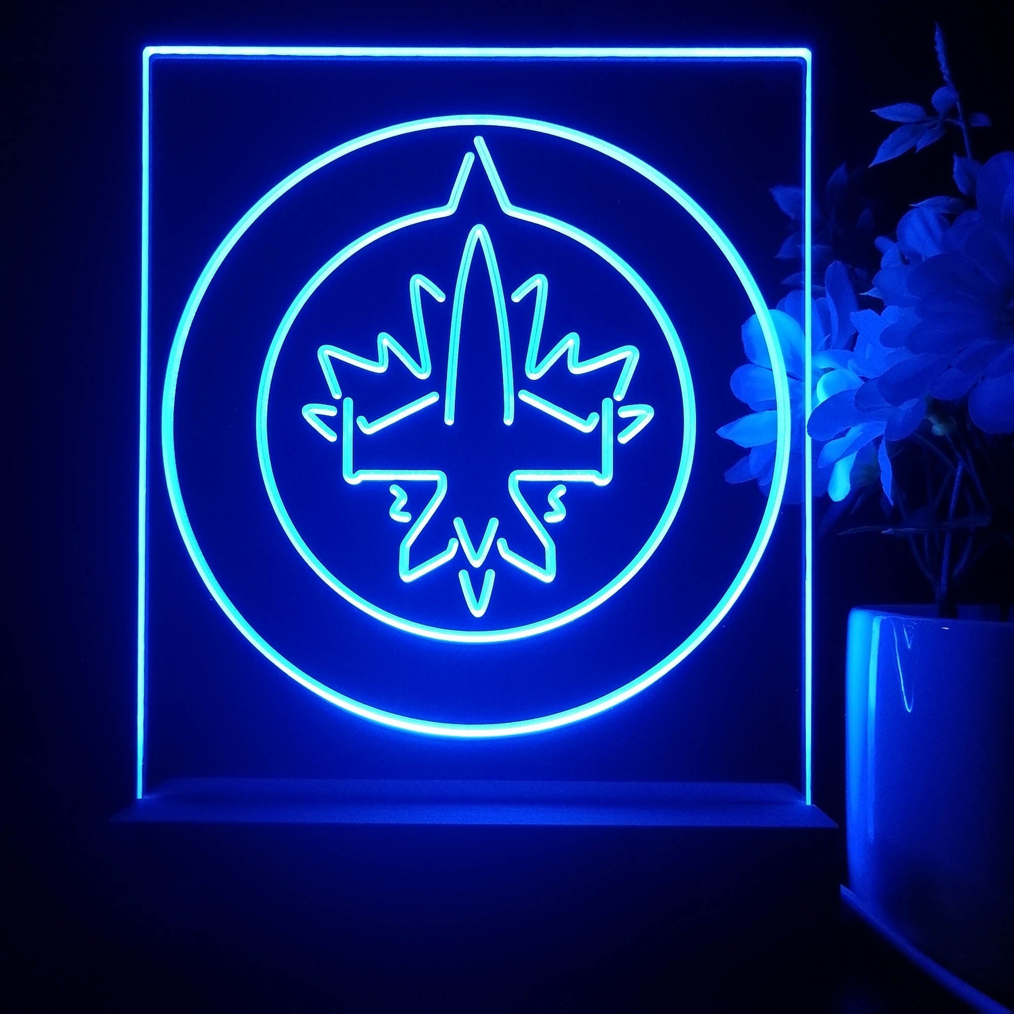 Winnipeg Jets 3D Illusion Night Light Desk Lamp