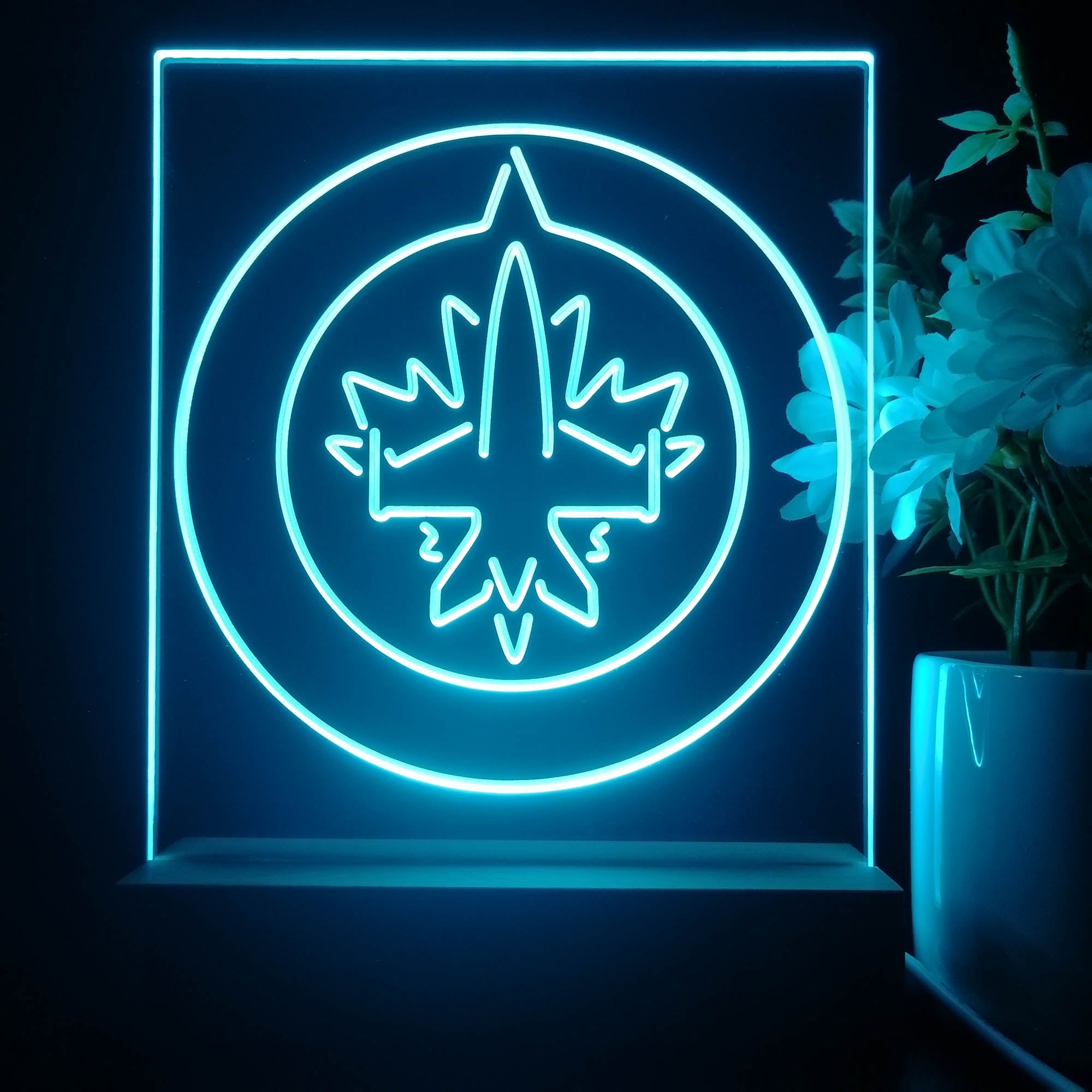 Winnipeg Jets 3D Illusion Night Light Desk Lamp